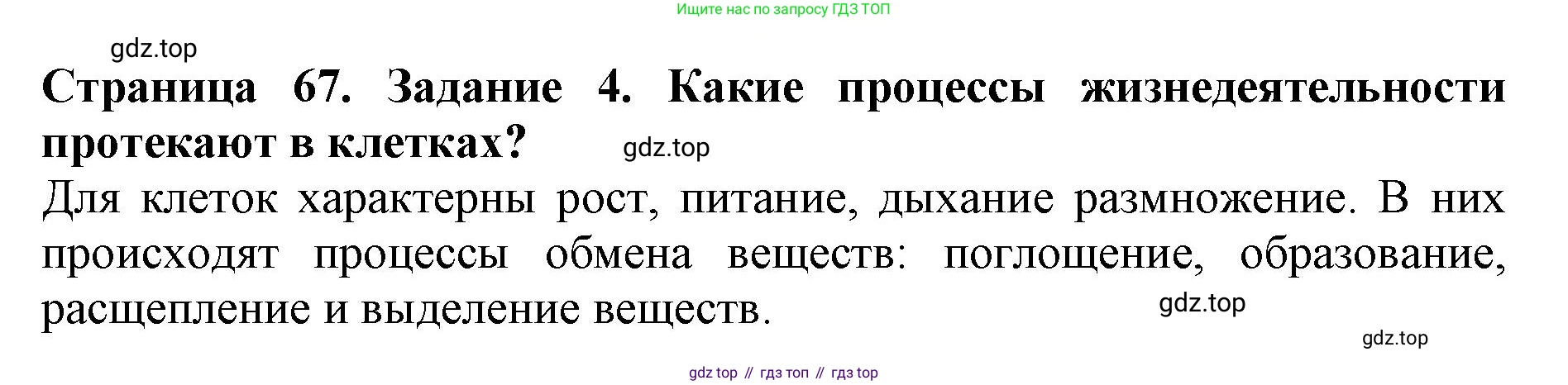 Биология, 5 класс Учебник, авторы: Пасечник Владимир Васильевич, Суматохин Сергей Витальевич, Гапонюк Зоя Георгиевна, Швецов Глеб Геннадьевич, издательство Просвещение, Москва, 2023, белого цвета, страница 67, номер 4, Решение