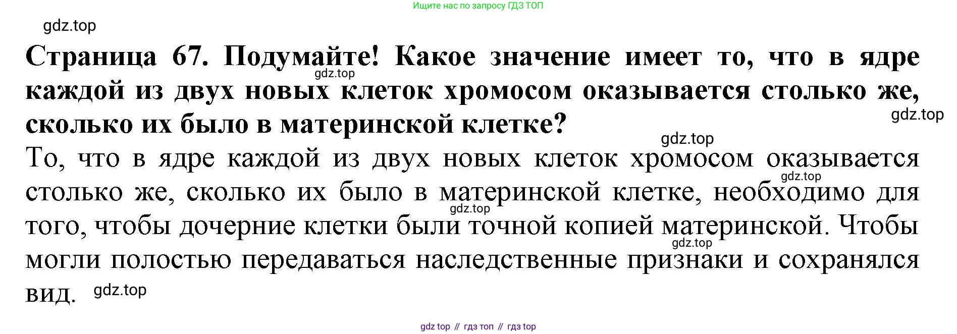 Биология, 5 класс Учебник, авторы: Пасечник Владимир Васильевич, Суматохин Сергей Витальевич, Гапонюк Зоя Георгиевна, Швецов Глеб Геннадьевич, издательство Просвещение, Москва, 2023, белого цвета, страница 67, Решение