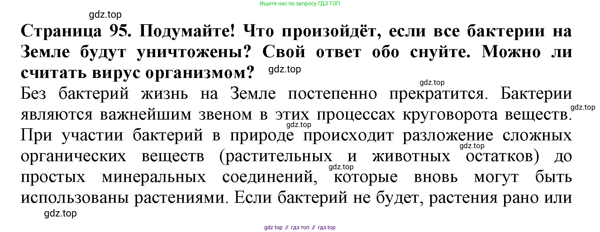 Биология, 5 класс Учебник, авторы: Пасечник Владимир Васильевич, Суматохин Сергей Витальевич, Гапонюк Зоя Георгиевна, Швецов Глеб Геннадьевич, издательство Просвещение, Москва, 2023, белого цвета, страница 95, Решение