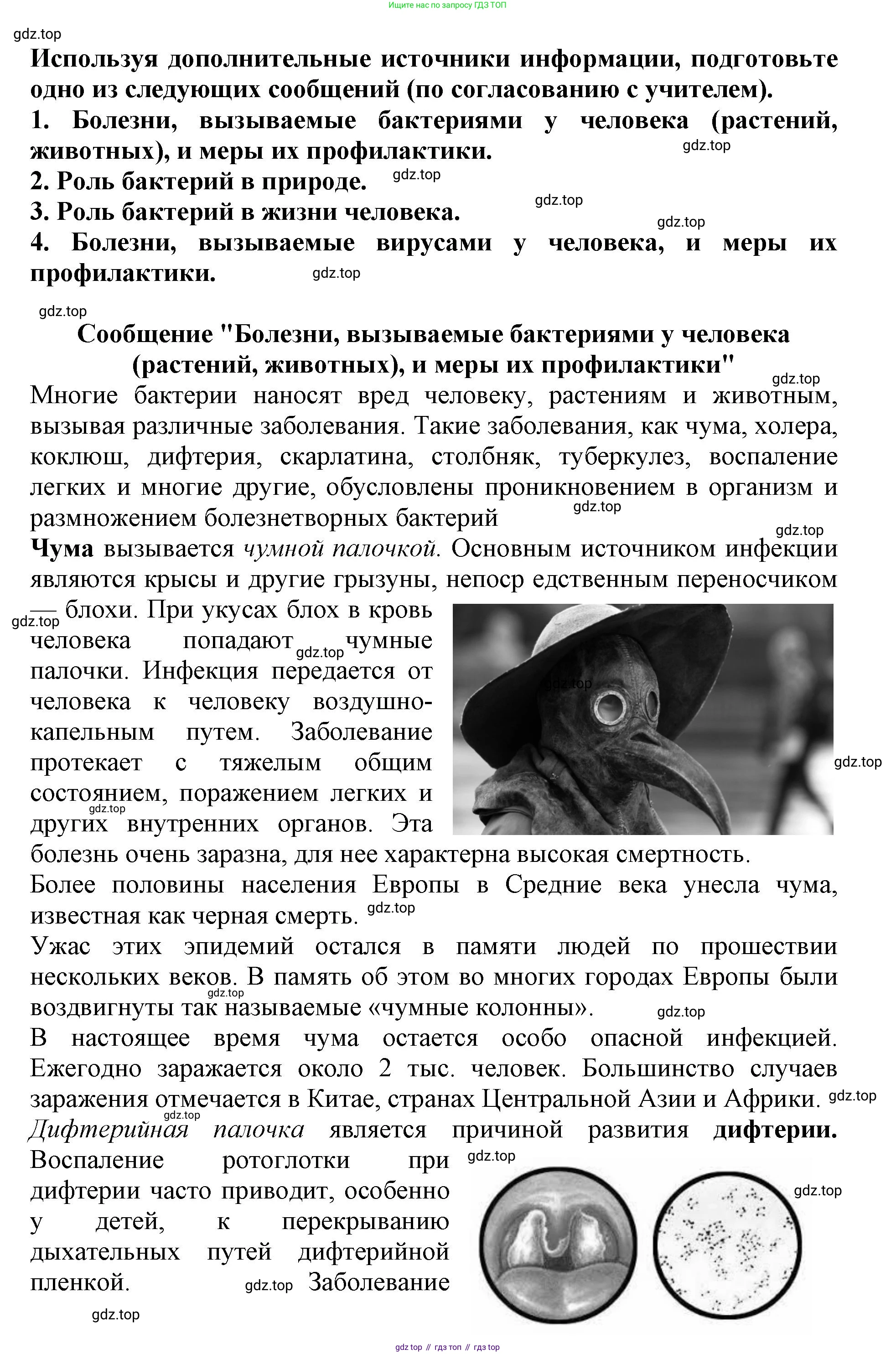 Биология, 5 класс Учебник, авторы: Пасечник Владимир Васильевич, Суматохин Сергей Витальевич, Гапонюк Зоя Георгиевна, Швецов Глеб Геннадьевич, издательство Просвещение, Москва, 2023, белого цвета, страница 95, Решение