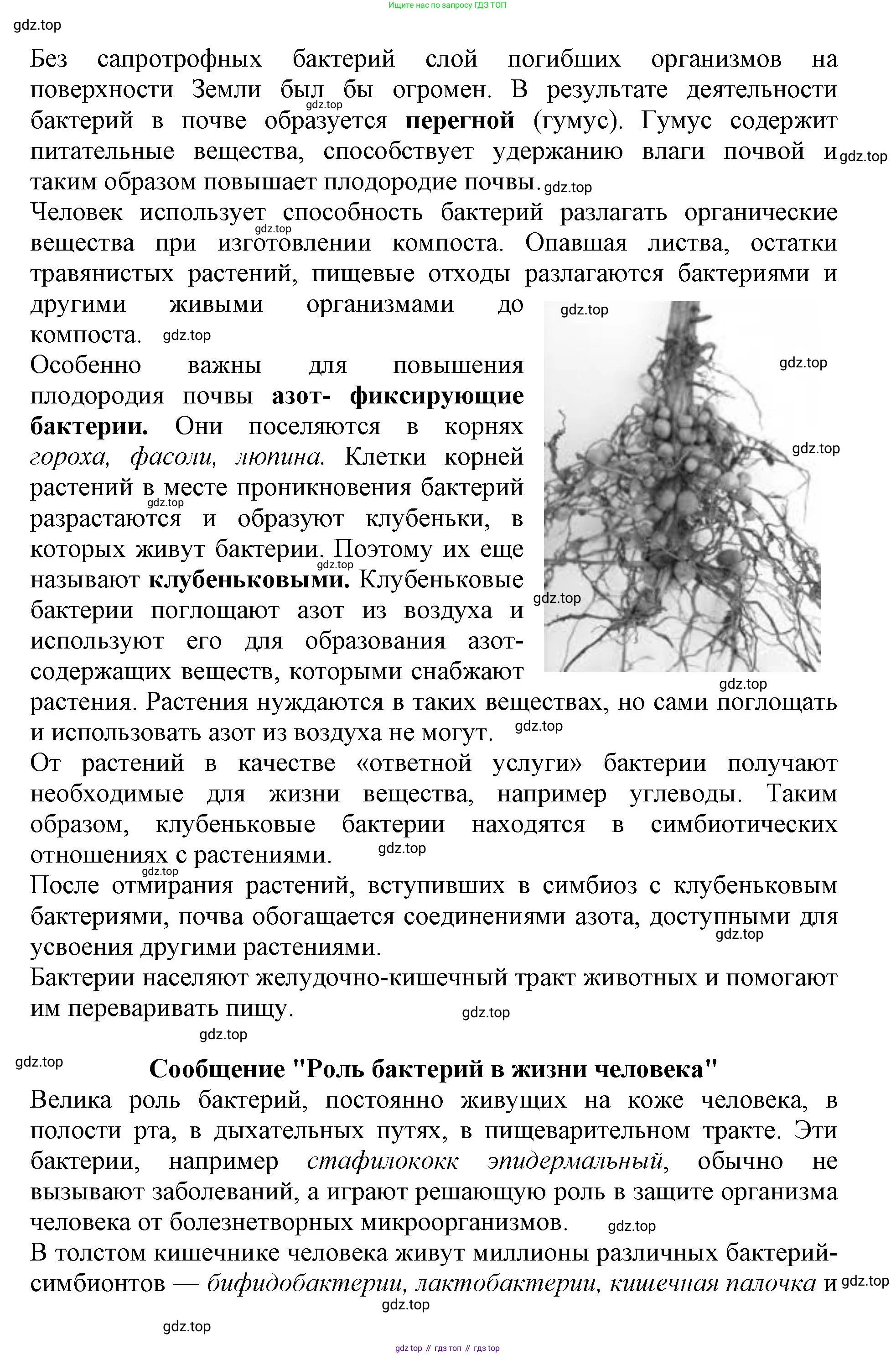 Биология, 5 класс Учебник, авторы: Пасечник Владимир Васильевич, Суматохин Сергей Витальевич, Гапонюк Зоя Георгиевна, Швецов Глеб Геннадьевич, издательство Просвещение, Москва, 2023, белого цвета, страница 95, Решение (продолжение 4)