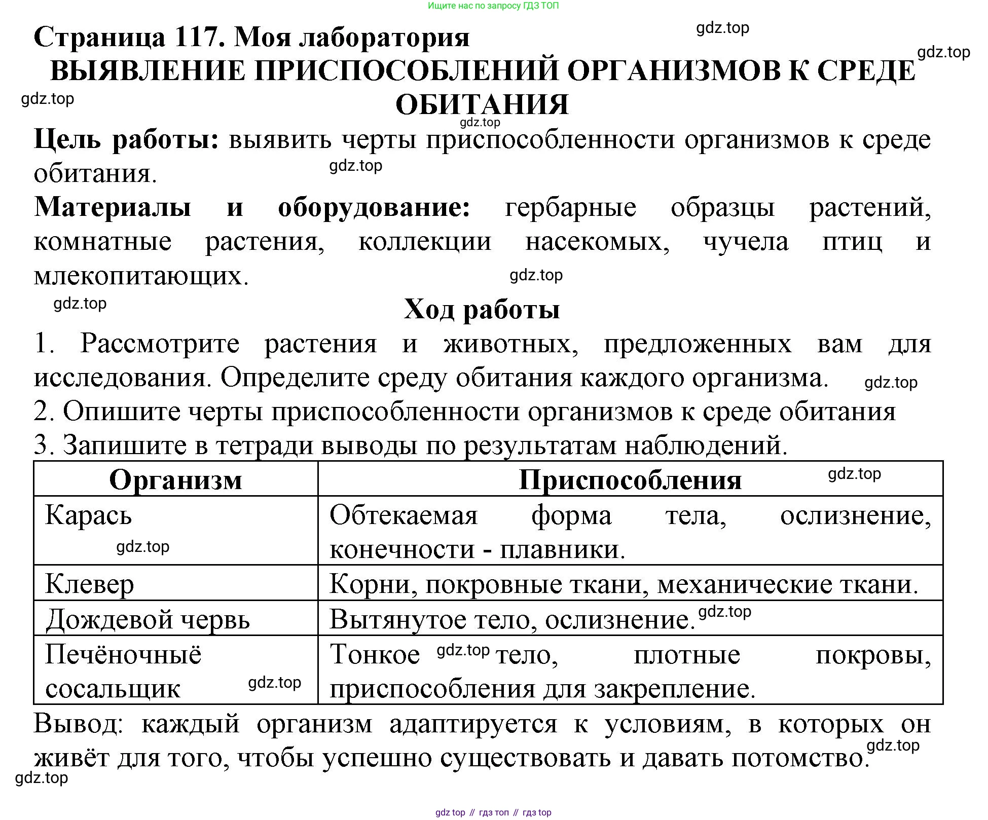 Биология, 5 класс Учебник, авторы: Пасечник Владимир Васильевич, Суматохин Сергей Витальевич, Гапонюк Зоя Георгиевна, Швецов Глеб Геннадьевич, издательство Просвещение, Москва, 2023, белого цвета, страница 117, Решение