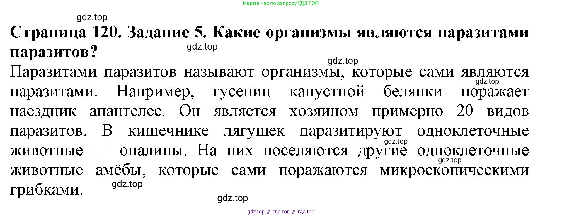 Биология, 5 класс Учебник, авторы: Пасечник Владимир Васильевич, Суматохин Сергей Витальевич, Гапонюк Зоя Георгиевна, Швецов Глеб Геннадьевич, издательство Просвещение, Москва, 2023, белого цвета, страница 120, номер 5, Решение