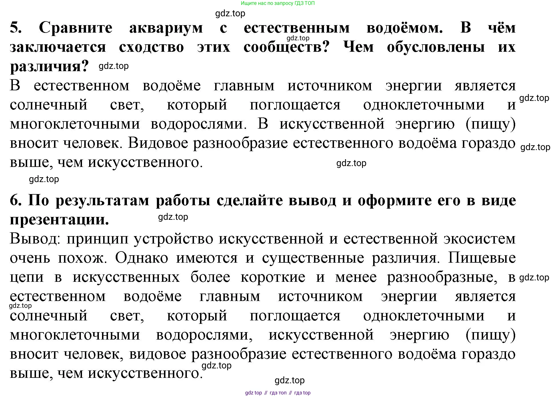 Биология, 5 класс Учебник, авторы: Пасечник Владимир Васильевич, Суматохин Сергей Витальевич, Гапонюк Зоя Георгиевна, Швецов Глеб Геннадьевич, издательство Просвещение, Москва, 2023, белого цвета, страница 143, Решение (продолжение 2)