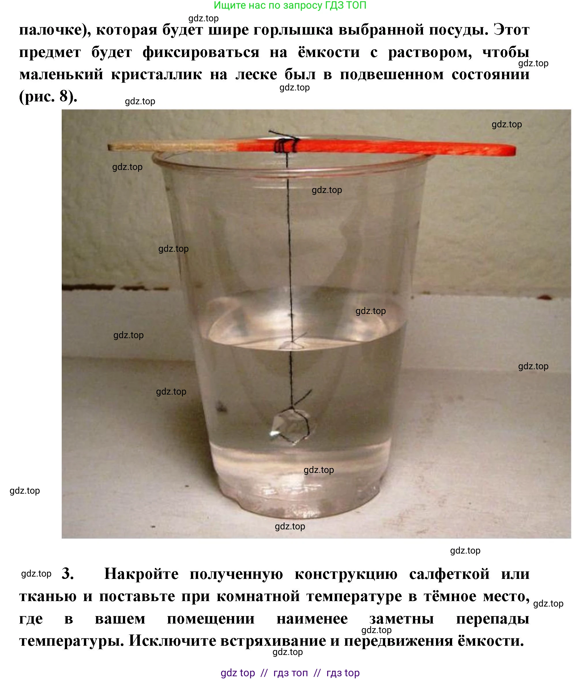 Биология, 5 класс Учебник, авторы: Пасечник Владимир Васильевич, Суматохин Сергей Витальевич, Гапонюк Зоя Георгиевна, Швецов Глеб Геннадьевич, издательство Просвещение, Москва, 2023, белого цвета, страница 10, Решение 2 (продолжение 7)