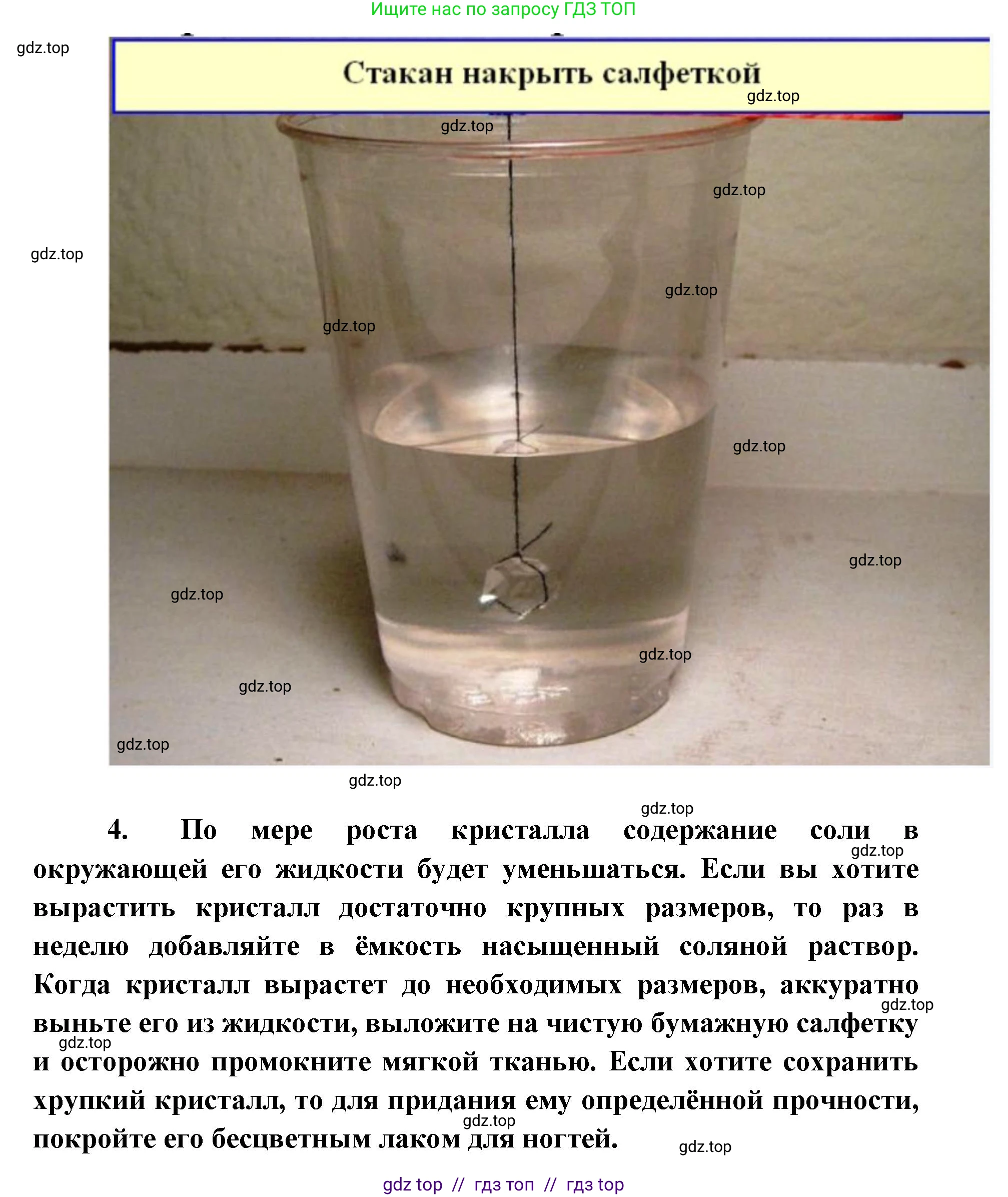 Биология, 5 класс Учебник, авторы: Пасечник Владимир Васильевич, Суматохин Сергей Витальевич, Гапонюк Зоя Георгиевна, Швецов Глеб Геннадьевич, издательство Просвещение, Москва, 2023, белого цвета, страница 10, Решение 2 (продолжение 8)