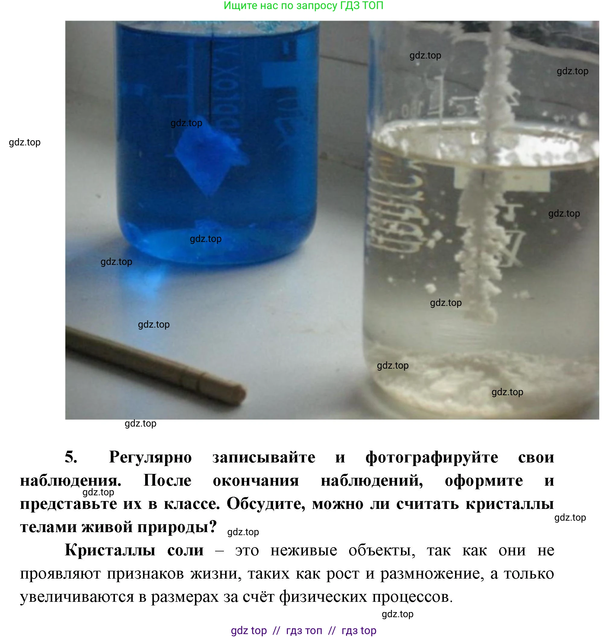 Биология, 5 класс Учебник, авторы: Пасечник Владимир Васильевич, Суматохин Сергей Витальевич, Гапонюк Зоя Георгиевна, Швецов Глеб Геннадьевич, издательство Просвещение, Москва, 2023, белого цвета, страница 10, Решение 2 (продолжение 9)