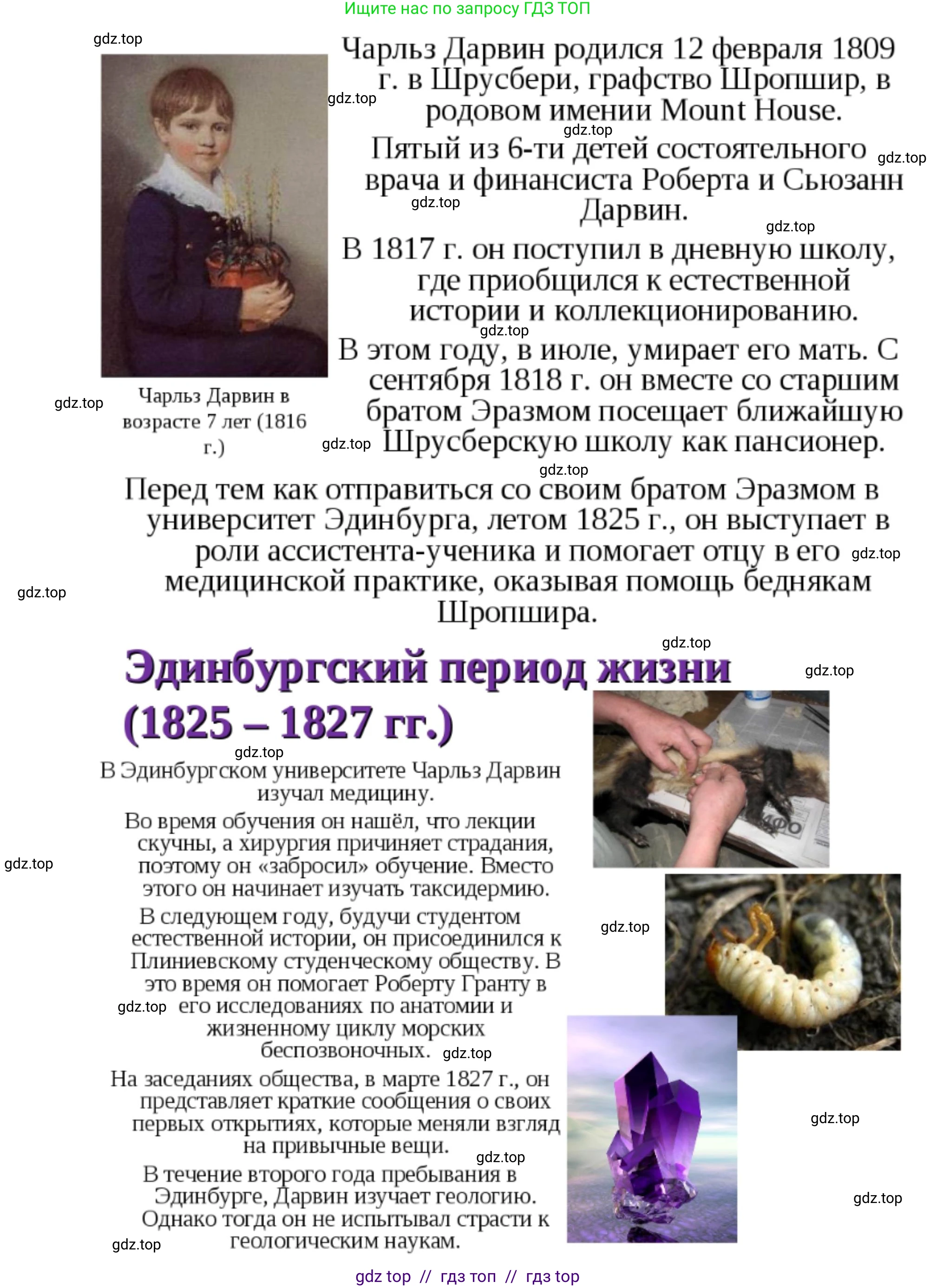 Биология, 5 класс Учебник, авторы: Пасечник Владимир Васильевич, Суматохин Сергей Витальевич, Гапонюк Зоя Георгиевна, Швецов Глеб Геннадьевич, издательство Просвещение, Москва, 2023, белого цвета, страница 18, Решение 2 (продолжение 12)
