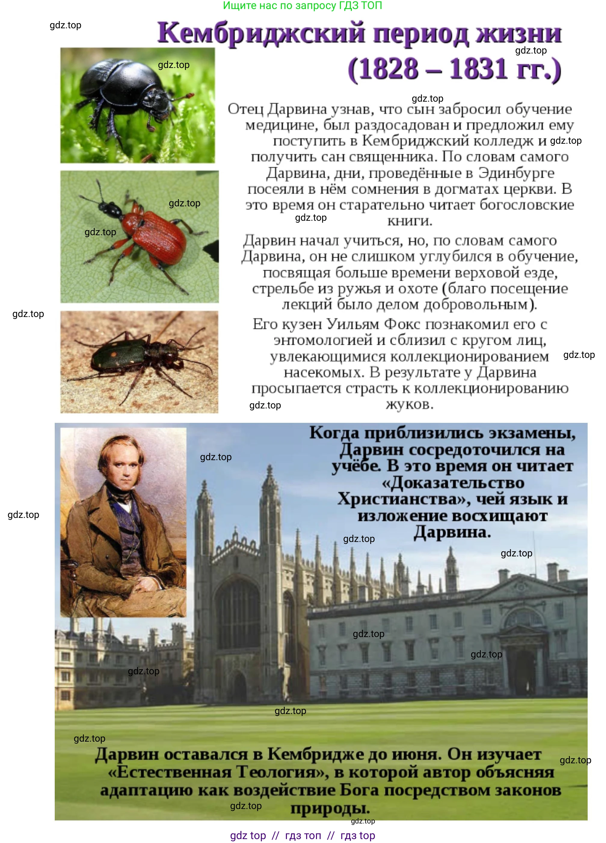 Биология, 5 класс Учебник, авторы: Пасечник Владимир Васильевич, Суматохин Сергей Витальевич, Гапонюк Зоя Георгиевна, Швецов Глеб Геннадьевич, издательство Просвещение, Москва, 2023, белого цвета, страница 18, Решение 2 (продолжение 13)