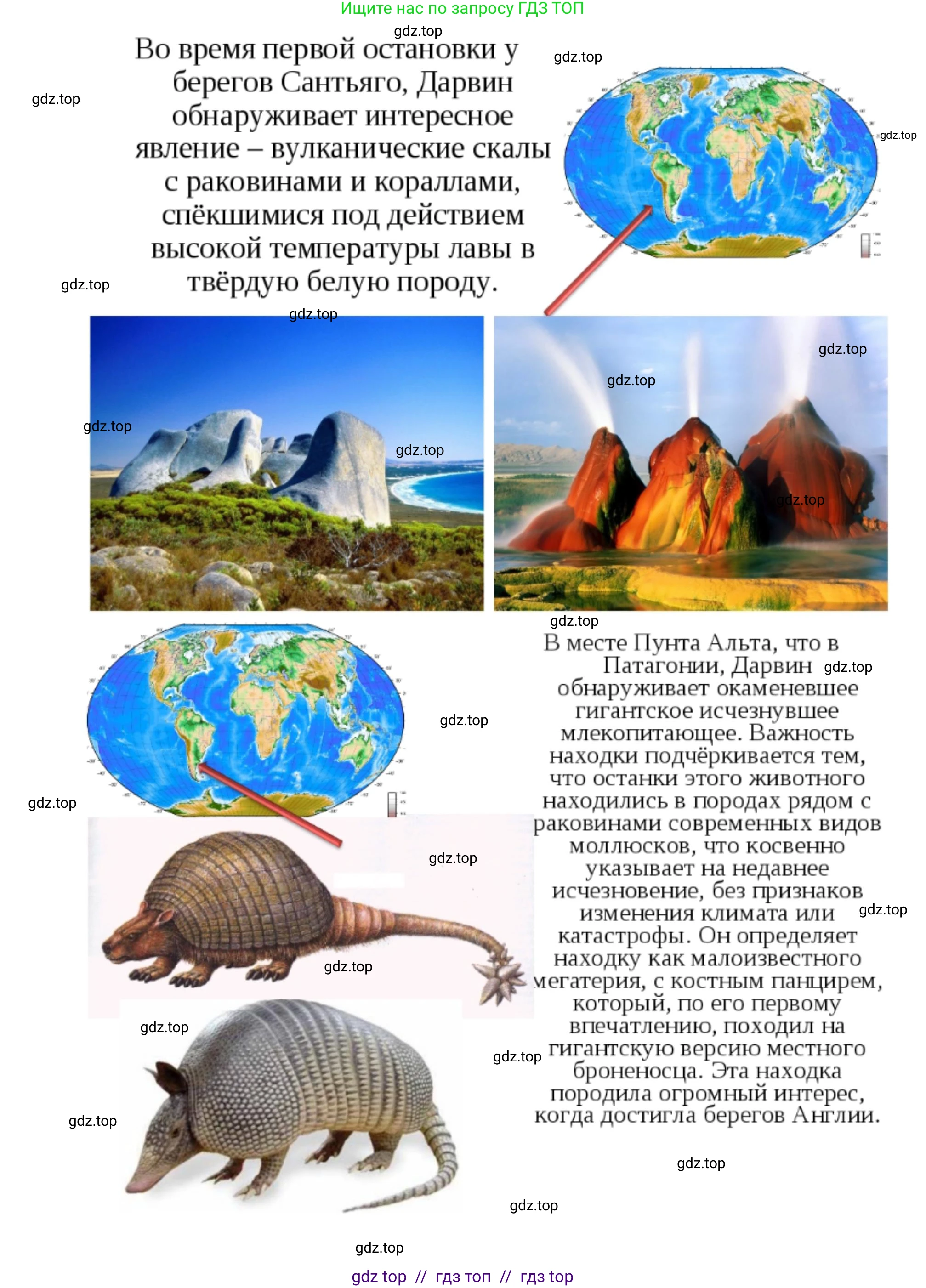 Биология, 5 класс Учебник, авторы: Пасечник Владимир Васильевич, Суматохин Сергей Витальевич, Гапонюк Зоя Георгиевна, Швецов Глеб Геннадьевич, издательство Просвещение, Москва, 2023, белого цвета, страница 18, Решение 2 (продолжение 15)