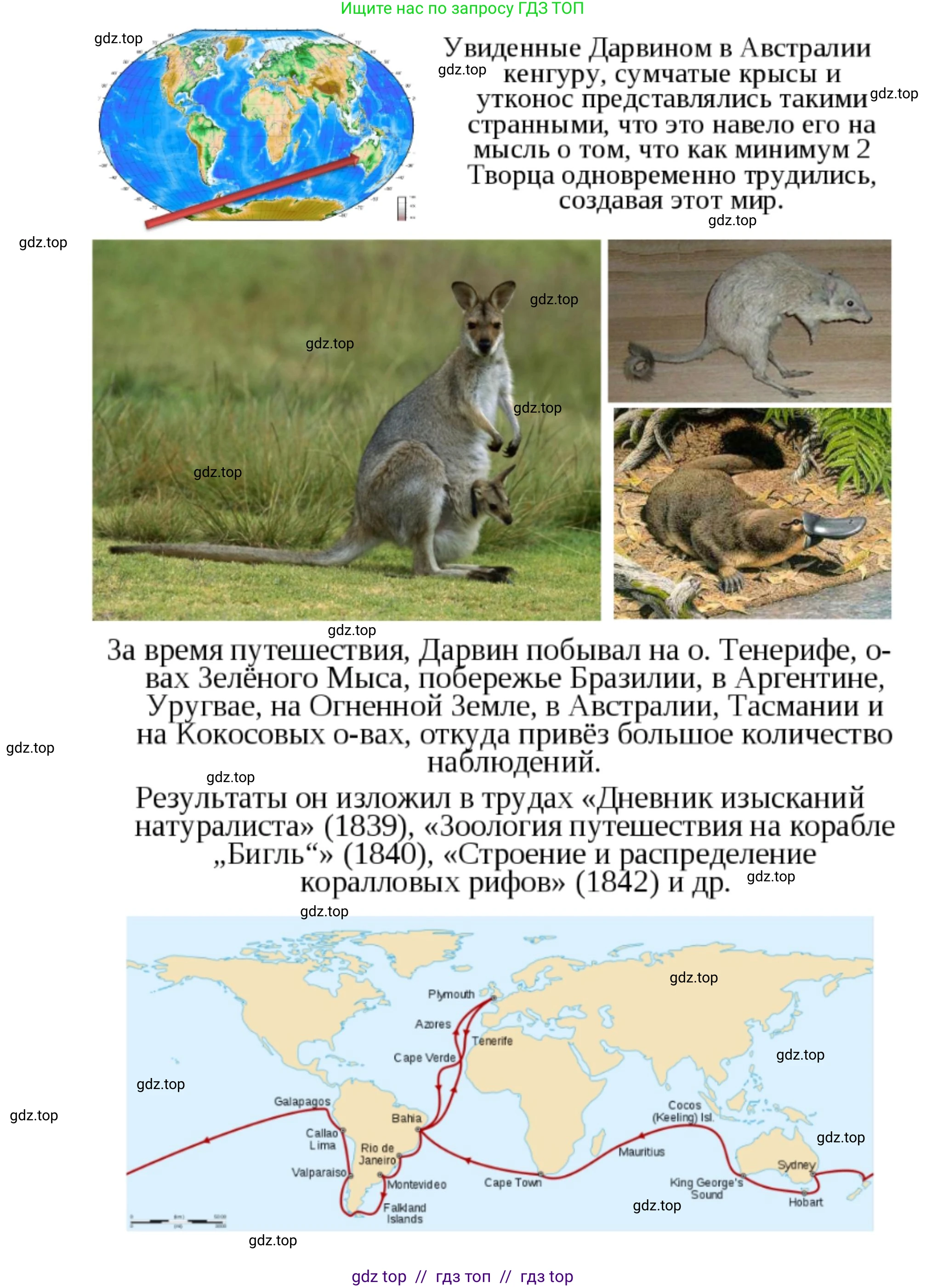 Биология, 5 класс Учебник, авторы: Пасечник Владимир Васильевич, Суматохин Сергей Витальевич, Гапонюк Зоя Георгиевна, Швецов Глеб Геннадьевич, издательство Просвещение, Москва, 2023, белого цвета, страница 18, Решение 2 (продолжение 17)