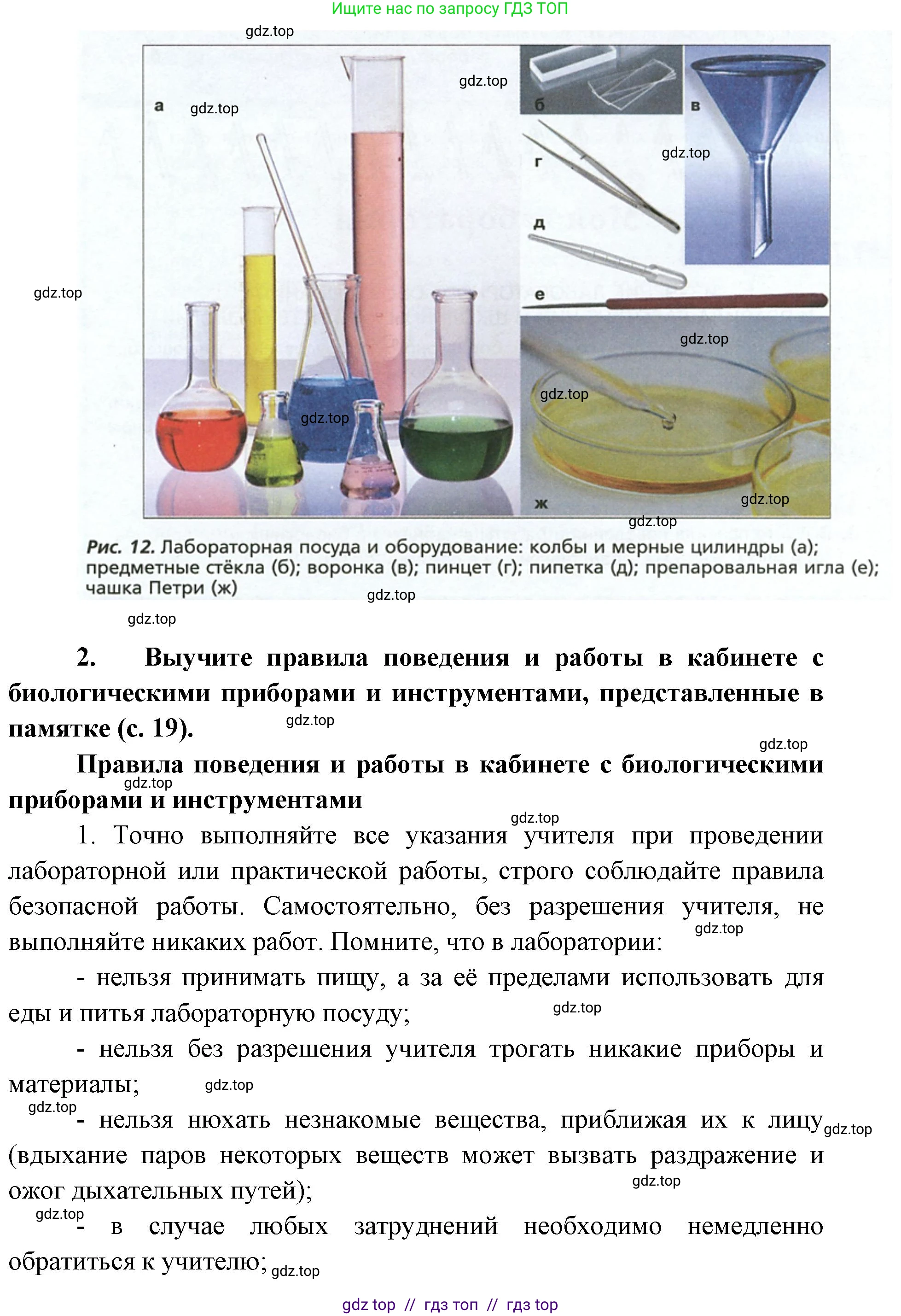 Биология, 5 класс Учебник, авторы: Пасечник Владимир Васильевич, Суматохин Сергей Витальевич, Гапонюк Зоя Георгиевна, Швецов Глеб Геннадьевич, издательство Просвещение, Москва, 2023, белого цвета, страница 18, Решение 2 (продолжение 2)
