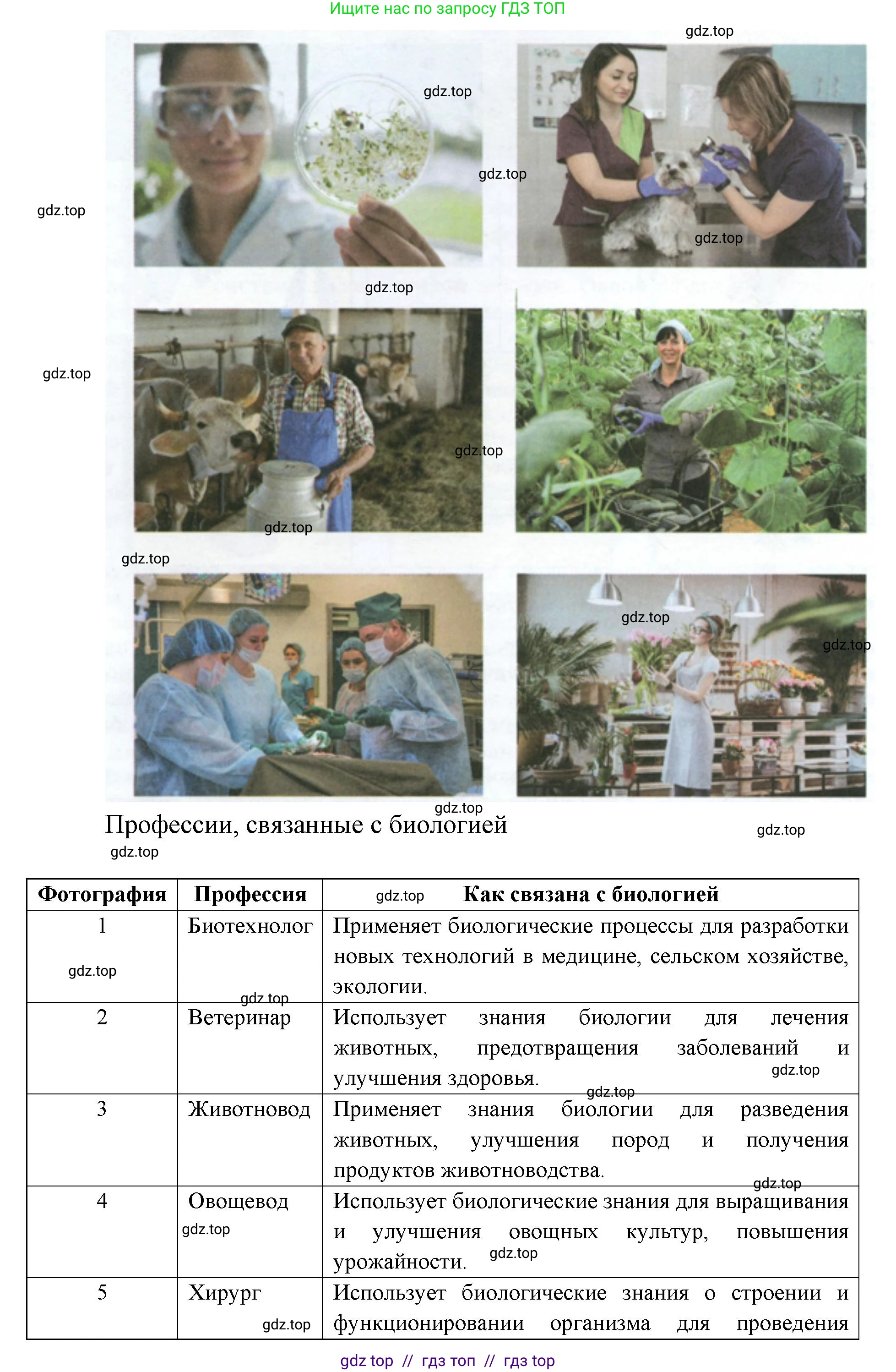 Биология, 5 класс Учебник, авторы: Пасечник Владимир Васильевич, Суматохин Сергей Витальевич, Гапонюк Зоя Георгиевна, Швецов Глеб Геннадьевич, издательство Просвещение, Москва, 2023, белого цвета, страница 18, Решение 2 (продолжение 6)