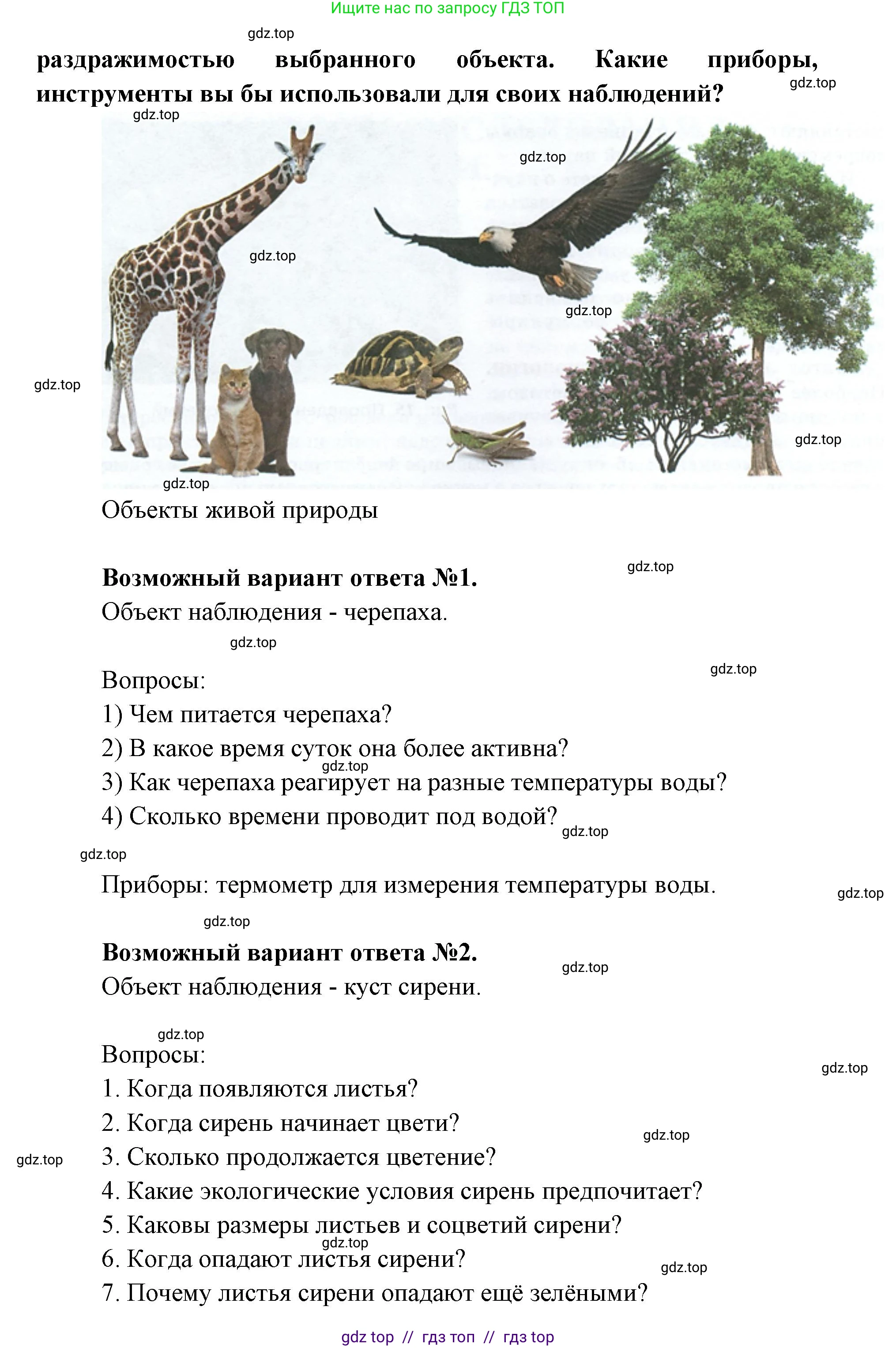 Биология, 5 класс Учебник, авторы: Пасечник Владимир Васильевич, Суматохин Сергей Витальевич, Гапонюк Зоя Георгиевна, Швецов Глеб Геннадьевич, издательство Просвещение, Москва, 2023, белого цвета, страница 32, Решение 2 (продолжение 2)