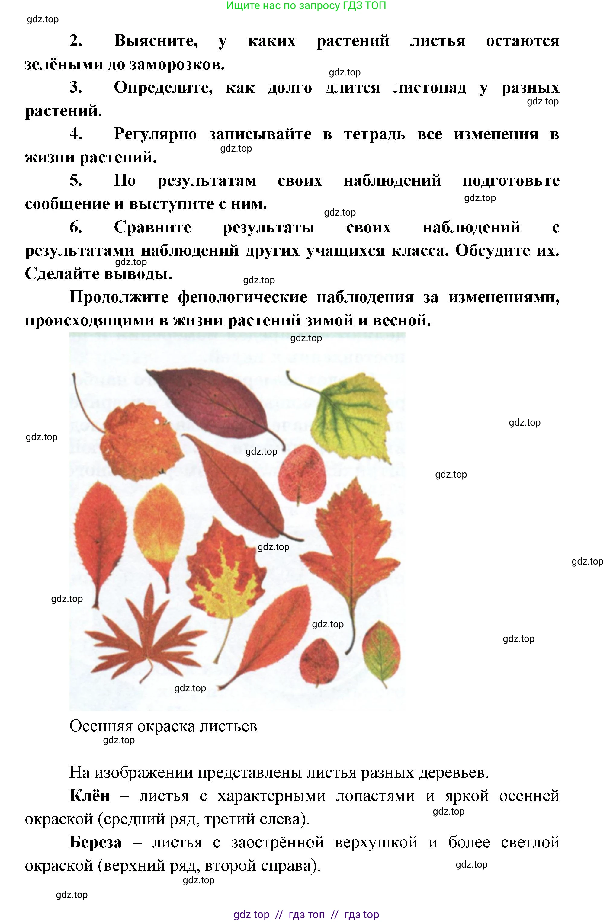 Биология, 5 класс Учебник, авторы: Пасечник Владимир Васильевич, Суматохин Сергей Витальевич, Гапонюк Зоя Георгиевна, Швецов Глеб Геннадьевич, издательство Просвещение, Москва, 2023, белого цвета, страница 32, Решение 2 (продолжение 4)