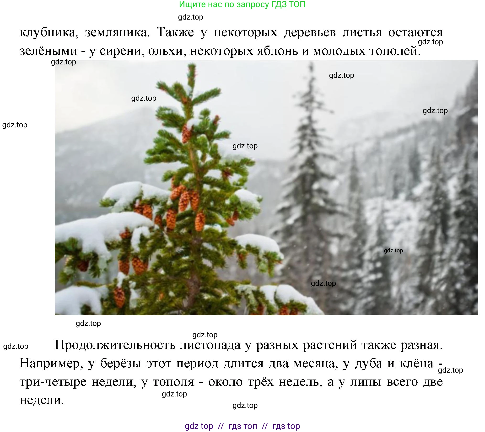 Биология, 5 класс Учебник, авторы: Пасечник Владимир Васильевич, Суматохин Сергей Витальевич, Гапонюк Зоя Георгиевна, Швецов Глеб Геннадьевич, издательство Просвещение, Москва, 2023, белого цвета, страница 32, Решение 2 (продолжение 6)