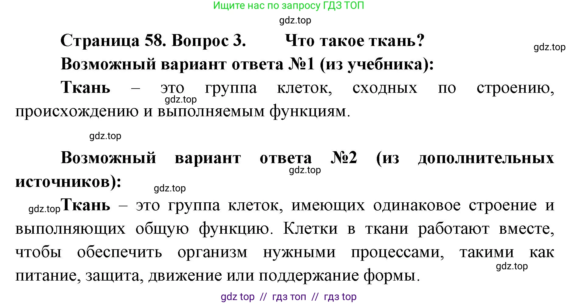 Биология, 5 класс Учебник, авторы: Пасечник Владимир Васильевич, Суматохин Сергей Витальевич, Гапонюк Зоя Георгиевна, Швецов Глеб Геннадьевич, издательство Просвещение, Москва, 2023, белого цвета, страница 58, номер 3, Решение 2