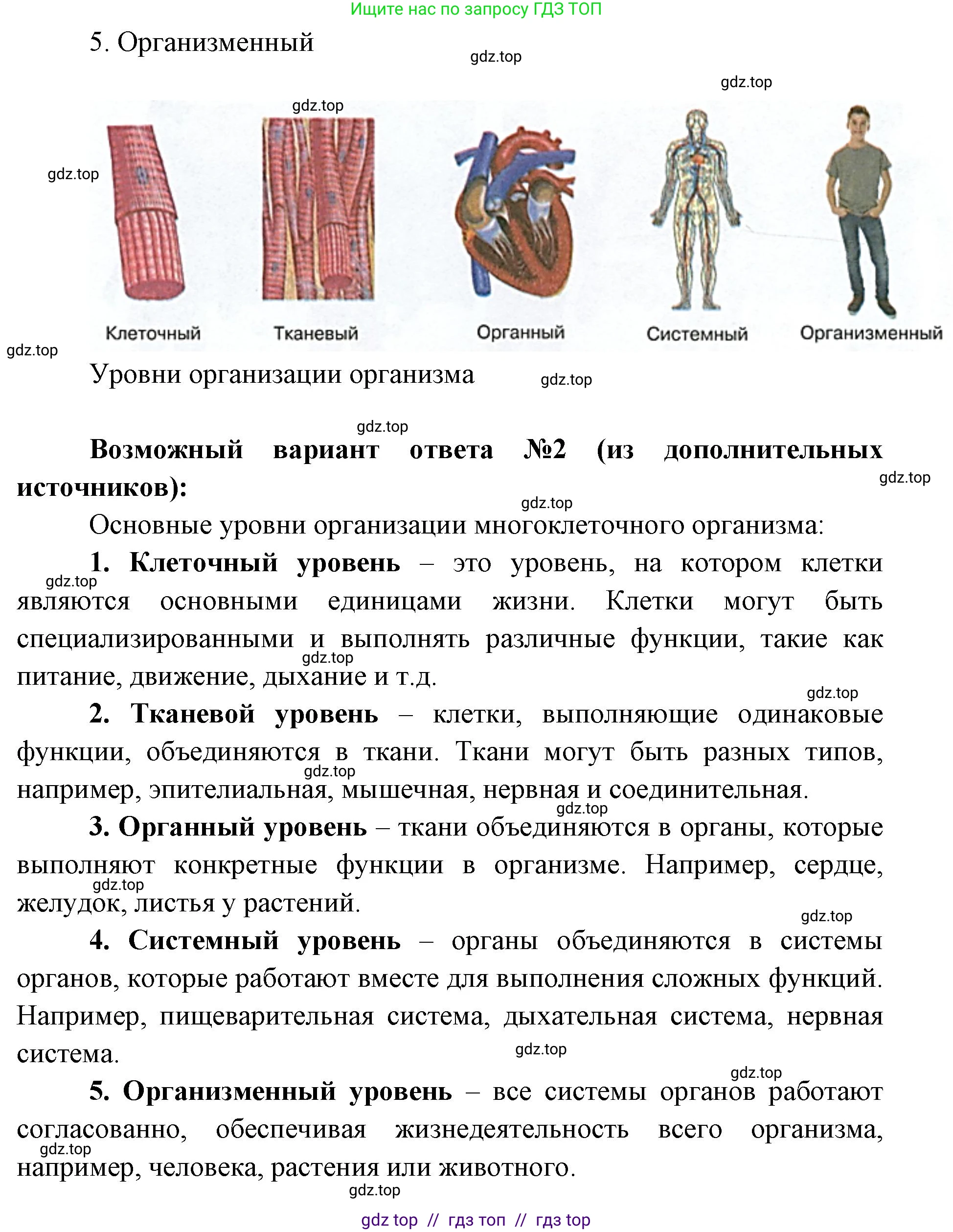 Биология, 5 класс Учебник, авторы: Пасечник Владимир Васильевич, Суматохин Сергей Витальевич, Гапонюк Зоя Георгиевна, Швецов Глеб Геннадьевич, издательство Просвещение, Москва, 2023, белого цвета, страница 58, номер 6, Решение 2 (продолжение 2)