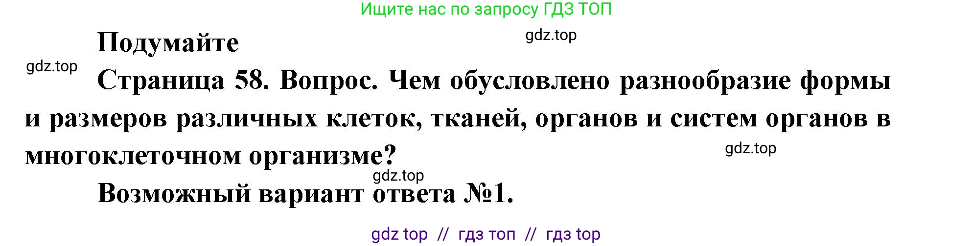 Биология, 5 класс Учебник, авторы: Пасечник Владимир Васильевич, Суматохин Сергей Витальевич, Гапонюк Зоя Георгиевна, Швецов Глеб Геннадьевич, издательство Просвещение, Москва, 2023, белого цвета, страница 58, Решение 2