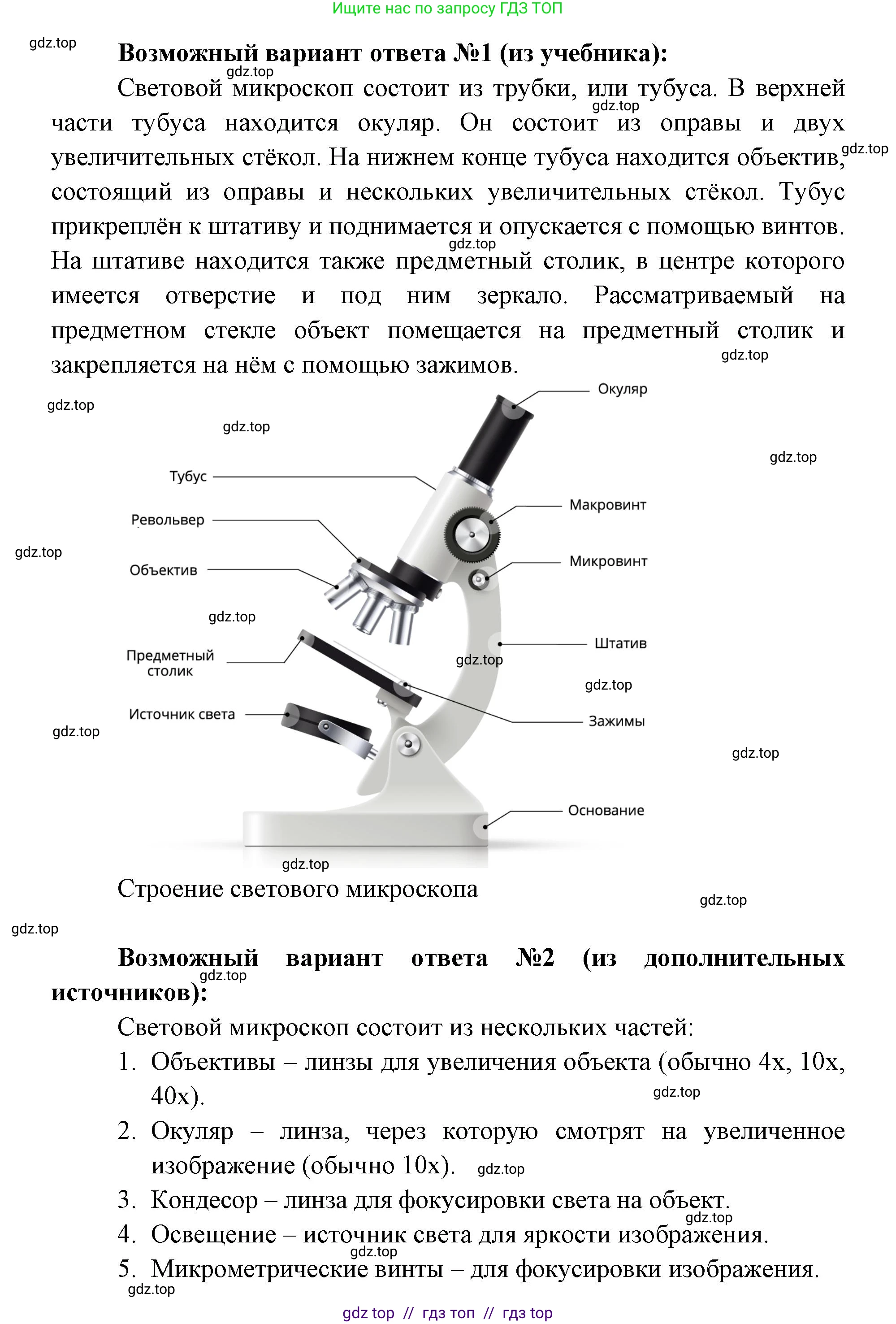 Биология, 5 класс Учебник, авторы: Пасечник Владимир Васильевич, Суматохин Сергей Витальевич, Гапонюк Зоя Георгиевна, Швецов Глеб Геннадьевич, издательство Просвещение, Москва, 2023, белого цвета, страница 62, номер 3, Решение 2 (продолжение 2)