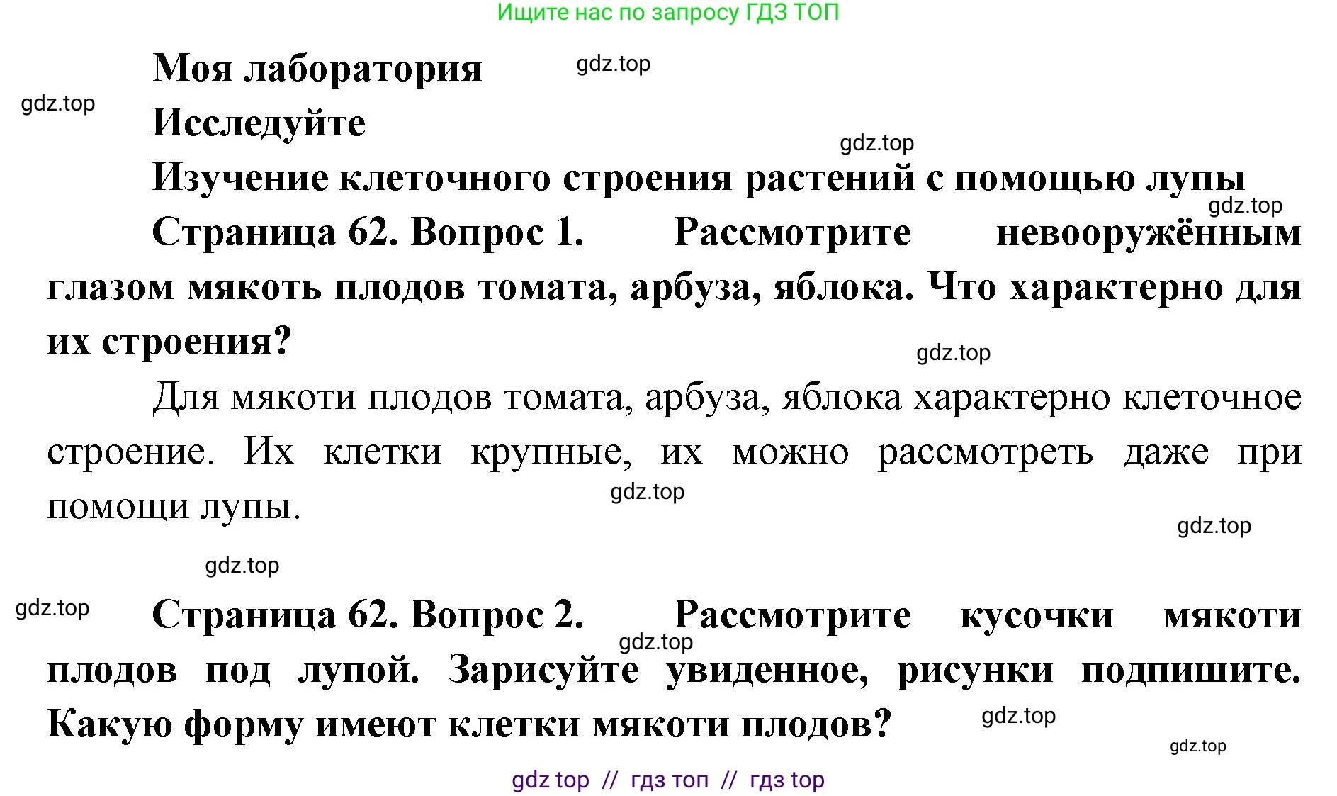 Биология, 5 класс Учебник, авторы: Пасечник Владимир Васильевич, Суматохин Сергей Витальевич, Гапонюк Зоя Георгиевна, Швецов Глеб Геннадьевич, издательство Просвещение, Москва, 2023, белого цвета, страница 62, Решение 2