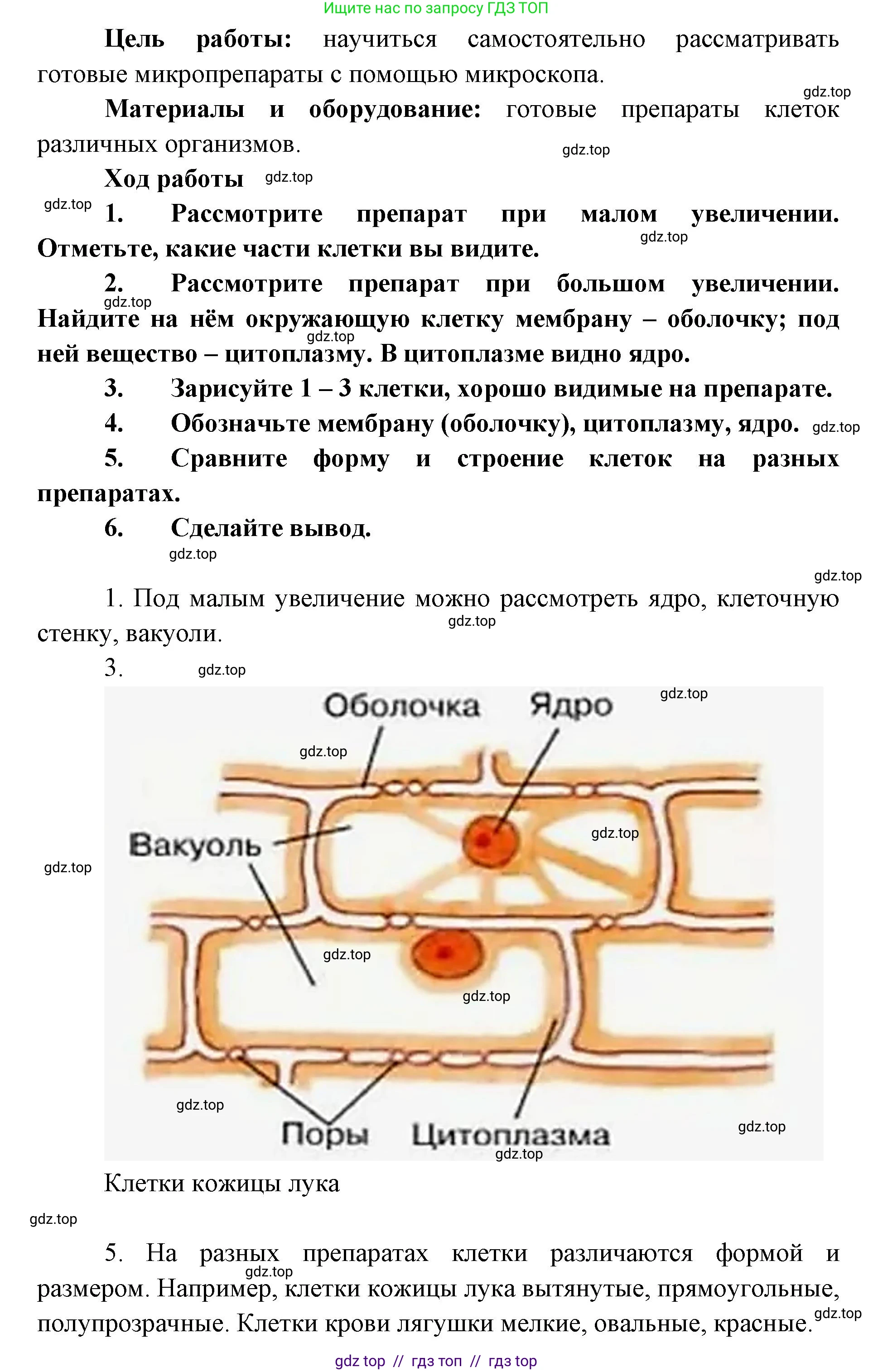 Биология, 5 класс Учебник, авторы: Пасечник Владимир Васильевич, Суматохин Сергей Витальевич, Гапонюк Зоя Георгиевна, Швецов Глеб Геннадьевич, издательство Просвещение, Москва, 2023, белого цвета, страница 68, Решение 2 (продолжение 2)