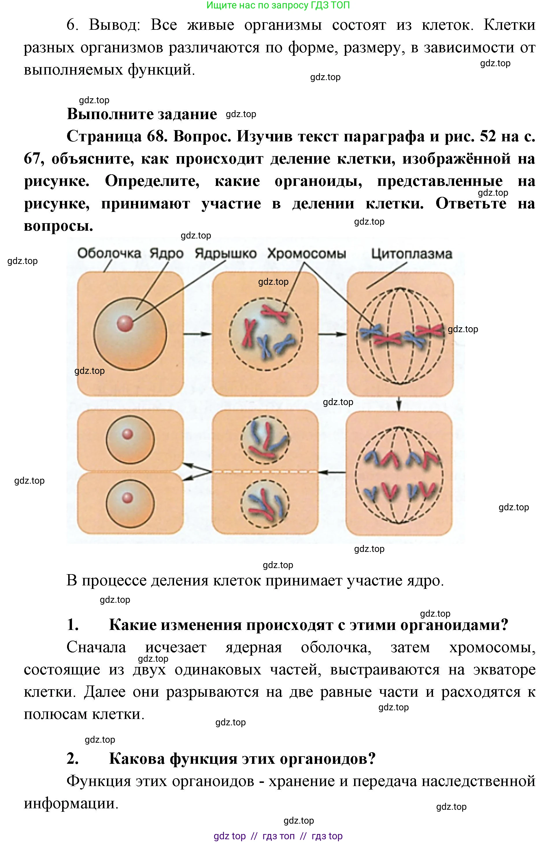 Биология, 5 класс Учебник, авторы: Пасечник Владимир Васильевич, Суматохин Сергей Витальевич, Гапонюк Зоя Георгиевна, Швецов Глеб Геннадьевич, издательство Просвещение, Москва, 2023, белого цвета, страница 68, Решение 2 (продолжение 3)