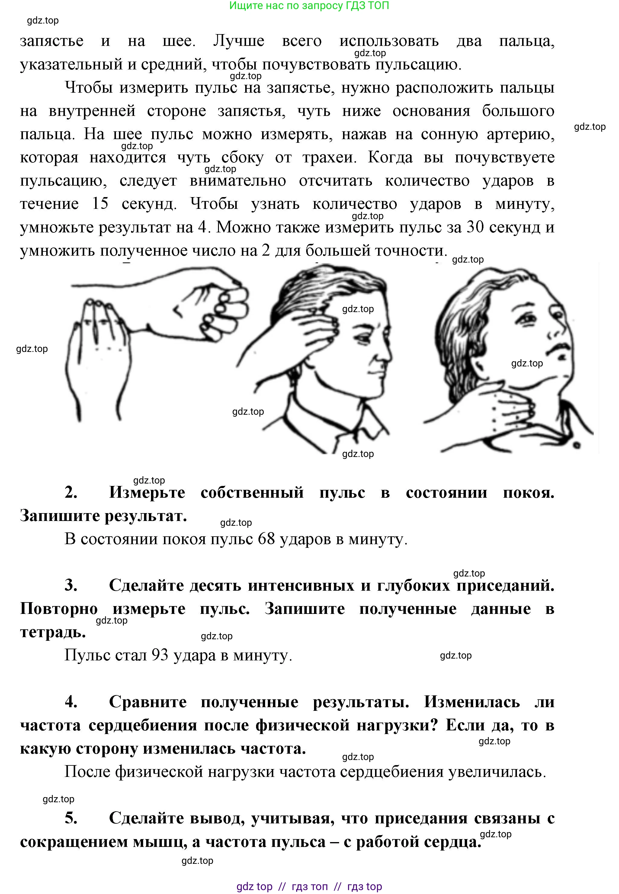 Биология, 5 класс Учебник, авторы: Пасечник Владимир Васильевич, Суматохин Сергей Витальевич, Гапонюк Зоя Георгиевна, Швецов Глеб Геннадьевич, издательство Просвещение, Москва, 2023, белого цвета, страница 73, Решение 2 (продолжение 9)