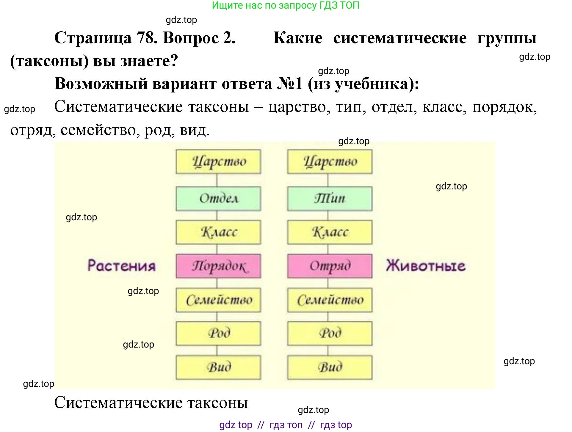 Биология, 5 класс Учебник, авторы: Пасечник Владимир Васильевич, Суматохин Сергей Витальевич, Гапонюк Зоя Георгиевна, Швецов Глеб Геннадьевич, издательство Просвещение, Москва, 2023, белого цвета, страница 78, номер 2, Решение 2