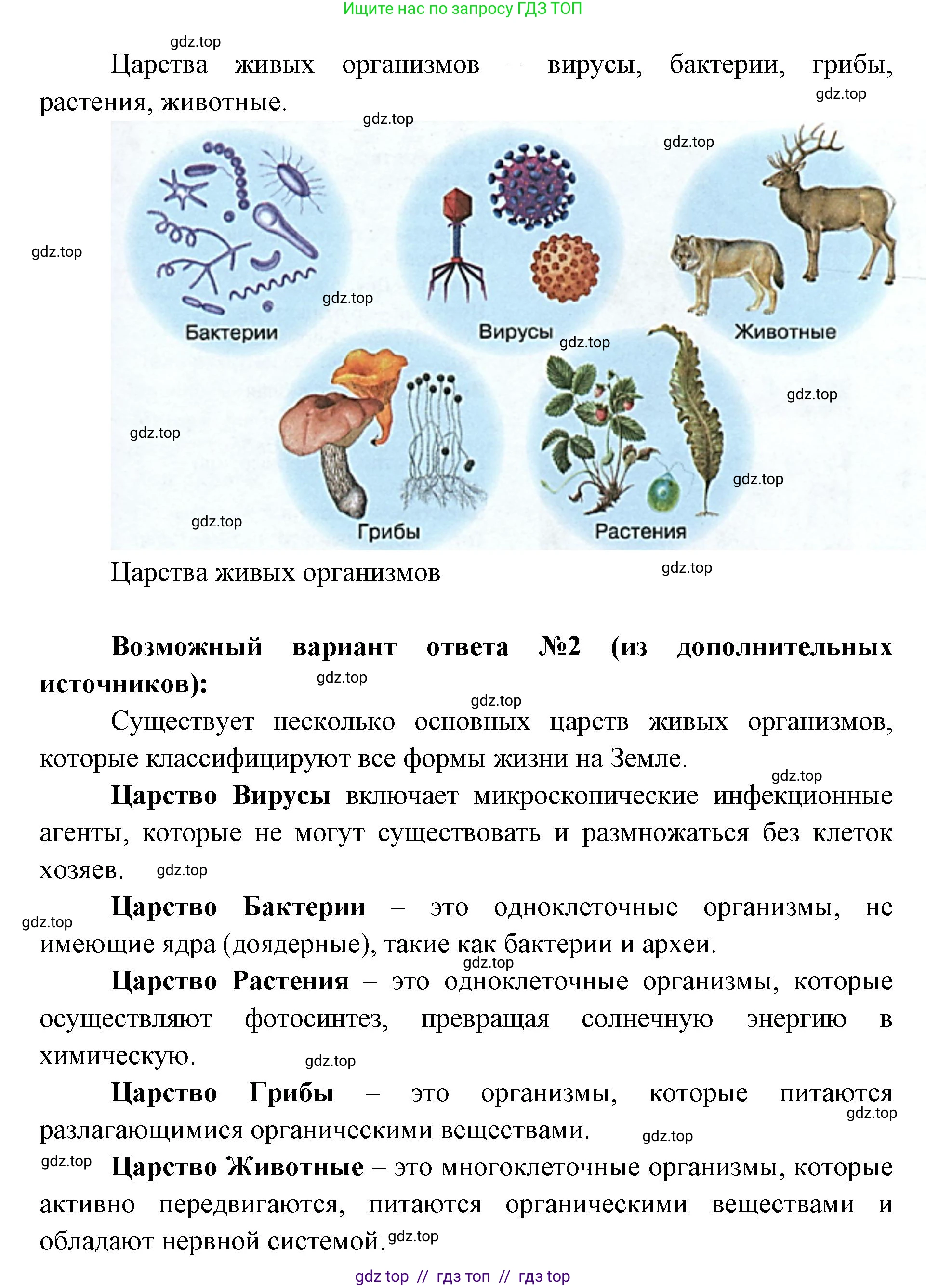 Биология, 5 класс Учебник, авторы: Пасечник Владимир Васильевич, Суматохин Сергей Витальевич, Гапонюк Зоя Георгиевна, Швецов Глеб Геннадьевич, издательство Просвещение, Москва, 2023, белого цвета, страница 78, номер 4, Решение 2 (продолжение 2)