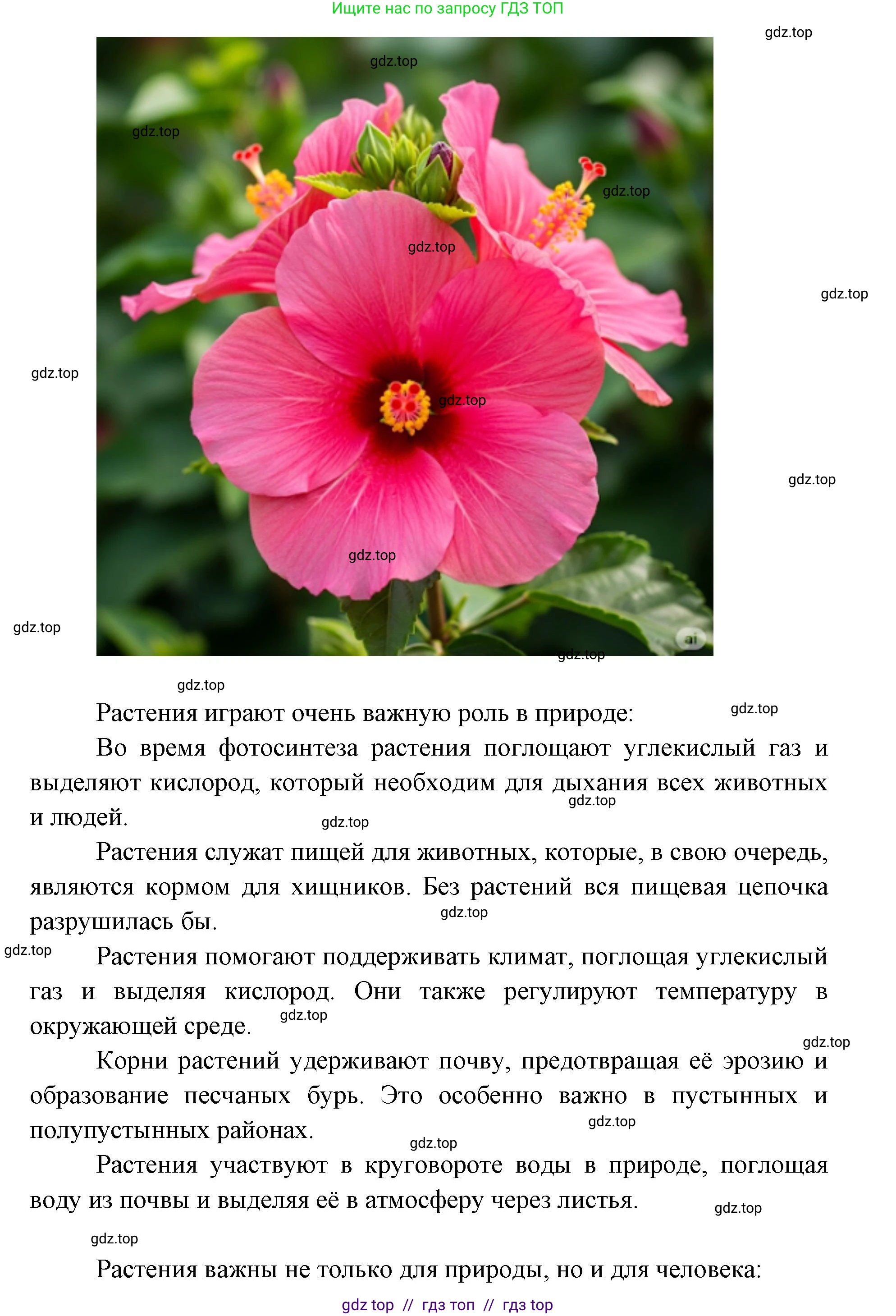 Биология, 5 класс Учебник, авторы: Пасечник Владимир Васильевич, Суматохин Сергей Витальевич, Гапонюк Зоя Георгиевна, Швецов Глеб Геннадьевич, издательство Просвещение, Москва, 2023, белого цвета, страница 91, Решение 2 (продолжение 9)