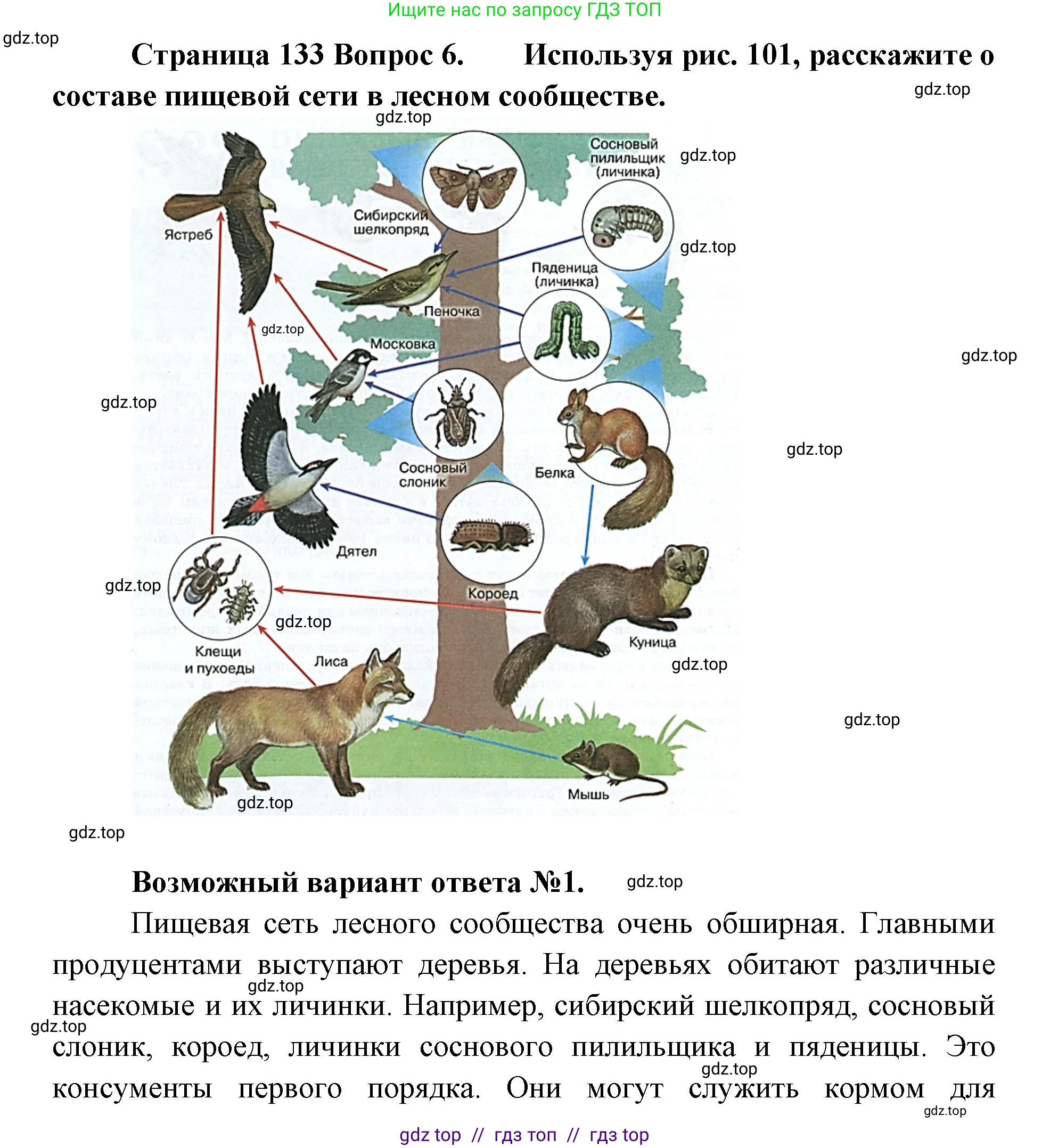 Биология, 5 класс Учебник, авторы: Пасечник Владимир Васильевич, Суматохин Сергей Витальевич, Гапонюк Зоя Георгиевна, Швецов Глеб Геннадьевич, издательство Просвещение, Москва, 2023, белого цвета, страница 133, номер 6, Решение 2