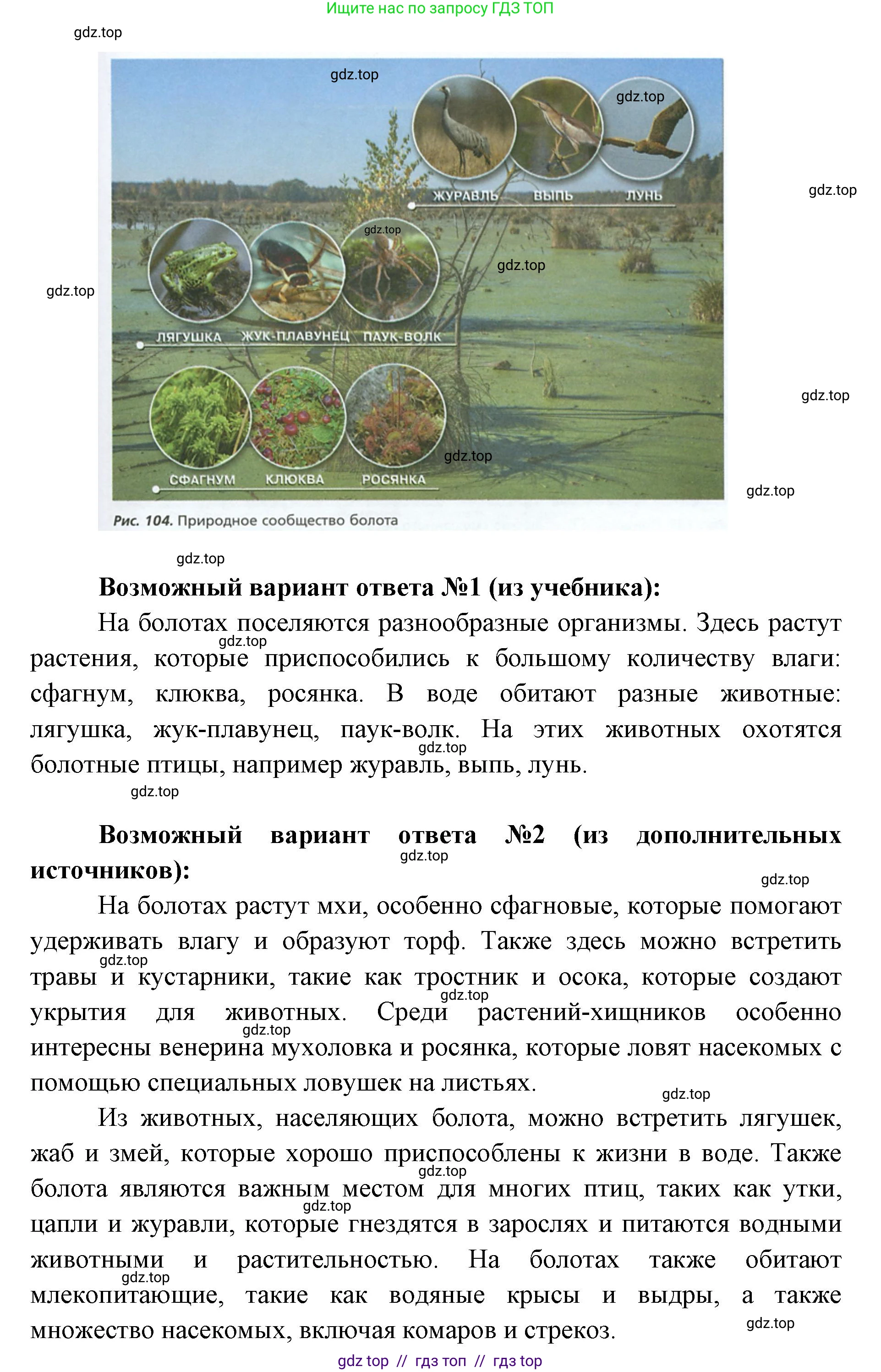 Биология, 5 класс Учебник, авторы: Пасечник Владимир Васильевич, Суматохин Сергей Витальевич, Гапонюк Зоя Георгиевна, Швецов Глеб Геннадьевич, издательство Просвещение, Москва, 2023, белого цвета, страница 139, номер 6, Решение 2 (продолжение 2)