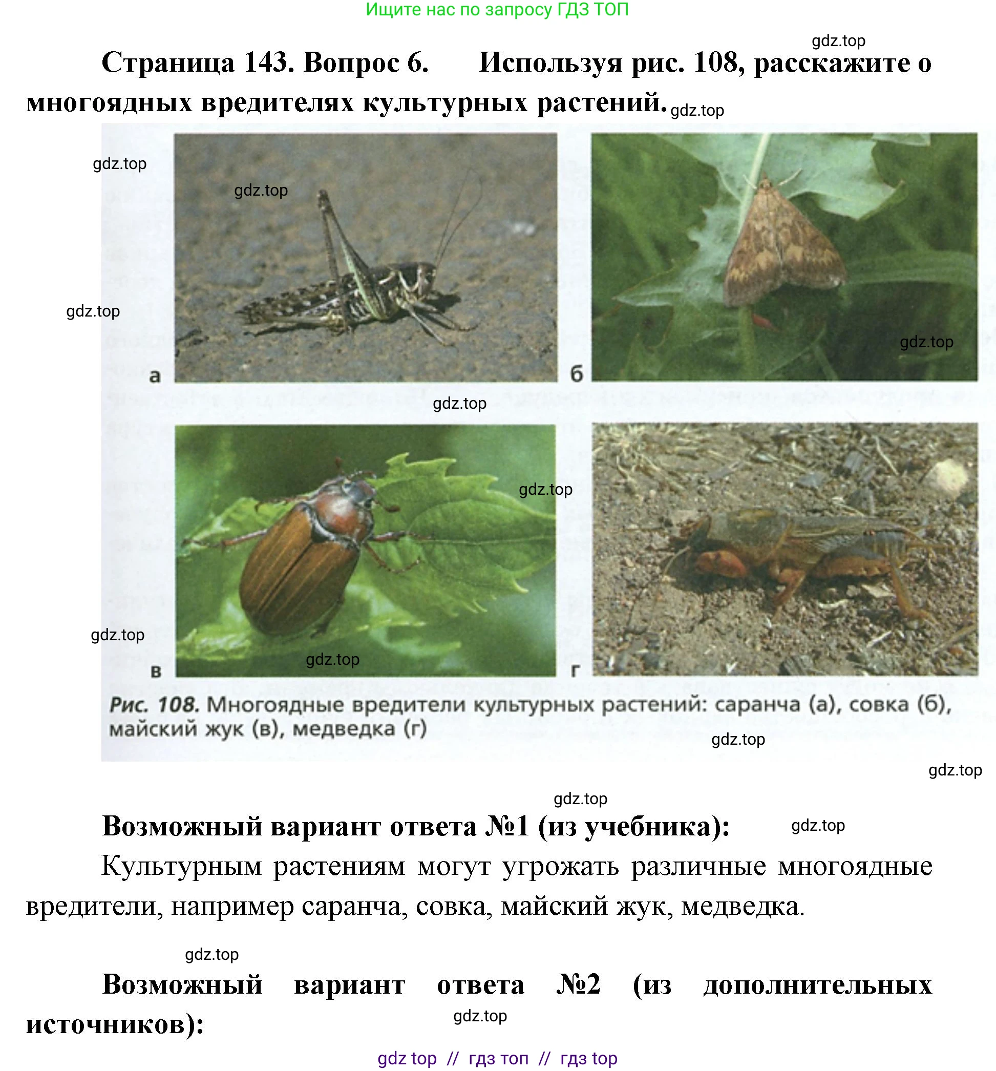 Биология, 5 класс Учебник, авторы: Пасечник Владимир Васильевич, Суматохин Сергей Витальевич, Гапонюк Зоя Георгиевна, Швецов Глеб Геннадьевич, издательство Просвещение, Москва, 2023, белого цвета, страница 143, номер 6, Решение 2