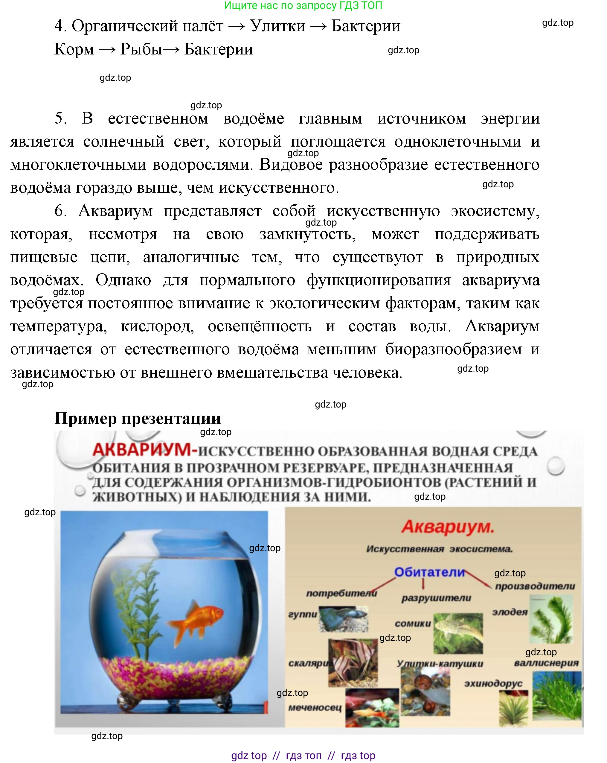 Биология, 5 класс Учебник, авторы: Пасечник Владимир Васильевич, Суматохин Сергей Витальевич, Гапонюк Зоя Георгиевна, Швецов Глеб Геннадьевич, издательство Просвещение, Москва, 2023, белого цвета, страница 143, Решение 2 (продолжение 2)