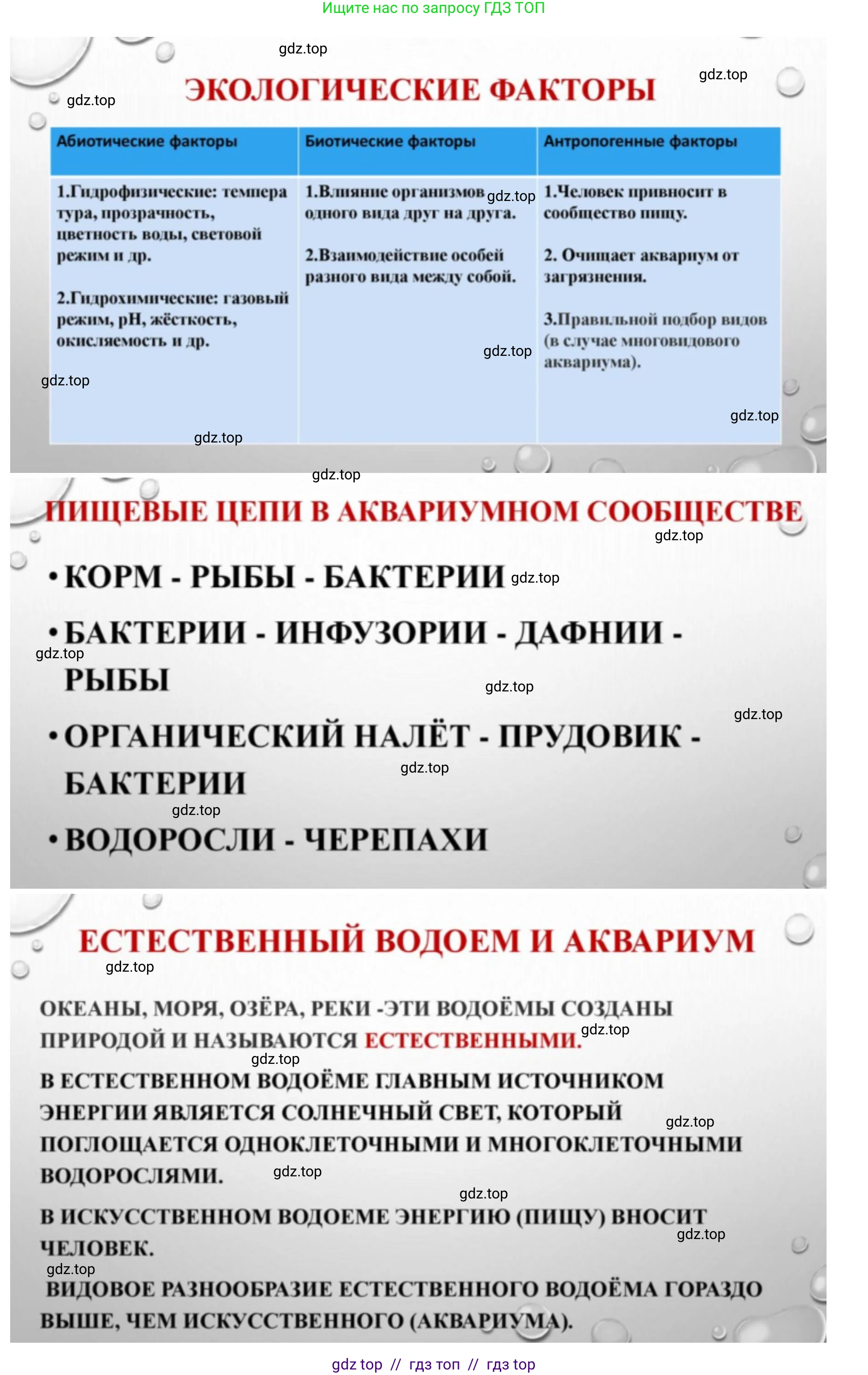 Биология, 5 класс Учебник, авторы: Пасечник Владимир Васильевич, Суматохин Сергей Витальевич, Гапонюк Зоя Георгиевна, Швецов Глеб Геннадьевич, издательство Просвещение, Москва, 2023, белого цвета, страница 143, Решение 2 (продолжение 3)