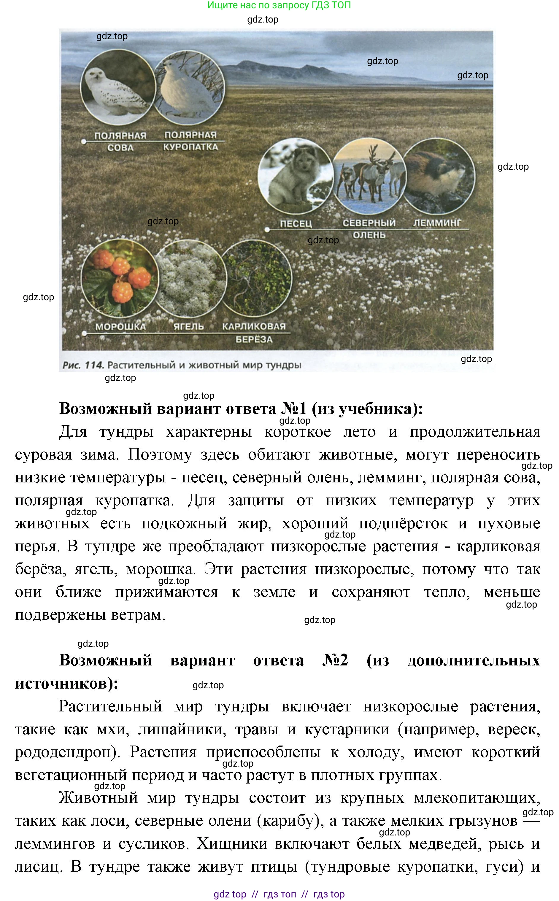 Биология, 5 класс Учебник, авторы: Пасечник Владимир Васильевич, Суматохин Сергей Витальевич, Гапонюк Зоя Георгиевна, Швецов Глеб Геннадьевич, издательство Просвещение, Москва, 2023, белого цвета, страница 148, номер 6, Решение 2 (продолжение 2)