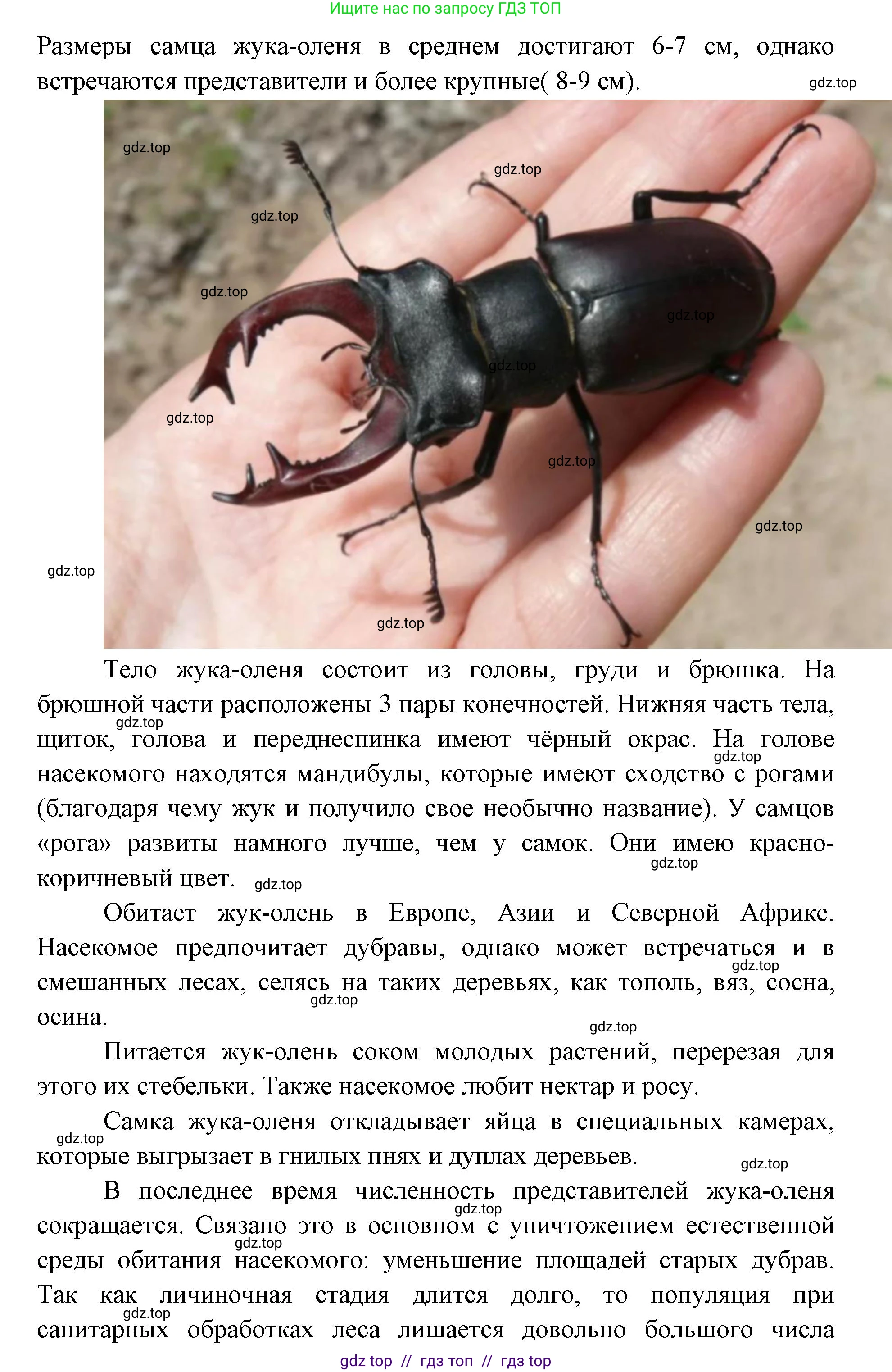 Биология, 5 класс Учебник, авторы: Пасечник Владимир Васильевич, Суматохин Сергей Витальевич, Гапонюк Зоя Георгиевна, Швецов Глеб Геннадьевич, издательство Просвещение, Москва, 2023, белого цвета, страница 157, номер 5, Решение 2 (продолжение 3)