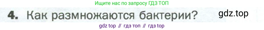 ГДЗ Биология, 5 класс Учебник, авторы: Пономарева Ирма Николаевна, Николаев Игорь Владиславович, Корнилова Ольга Анатольевна, издательство Просвещение, Москва, 2023, зелёного цвета, страница 72, номер 4, Условие