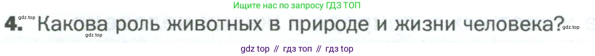 ГДЗ Биология, 5 класс Учебник, авторы: Пономарева Ирма Николаевна, Николаев Игорь Владиславович, Корнилова Ольга Анатольевна, издательство Просвещение, Москва, 2023, зелёного цвета, страница 82, номер 4, Условие