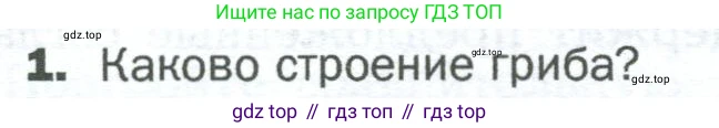 ГДЗ Биология, 5 класс Учебник, авторы: Пономарева Ирма Николаевна, Николаев Игорь Владиславович, Корнилова Ольга Анатольевна, издательство Просвещение, Москва, 2023, зелёного цвета, страница 89, номер 1, Условие