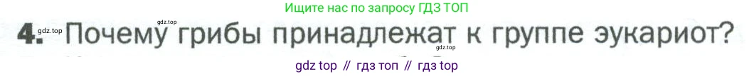 ГДЗ Биология, 5 класс Учебник, авторы: Пономарева Ирма Николаевна, Николаев Игорь Владиславович, Корнилова Ольга Анатольевна, издательство Просвещение, Москва, 2023, зелёного цвета, страница 89, номер 4, Условие