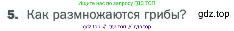 ГДЗ Биология, 5 класс Учебник, авторы: Пономарева Ирма Николаевна, Николаев Игорь Владиславович, Корнилова Ольга Анатольевна, издательство Просвещение, Москва, 2023, зелёного цвета, страница 89, номер 5, Условие