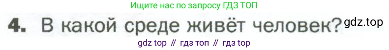ГДЗ Биология, 5 класс Учебник, авторы: Пономарева Ирма Николаевна, Николаев Игорь Владиславович, Корнилова Ольга Анатольевна, издательство Просвещение, Москва, 2023, зелёного цвета, страница 98, номер 4, Условие
