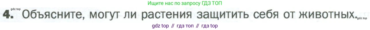 ГДЗ Биология, 5 класс Учебник, авторы: Пономарева Ирма Николаевна, Николаев Игорь Владиславович, Корнилова Ольга Анатольевна, издательство Просвещение, Москва, 2023, зелёного цвета, страница 107, номер 4, Условие