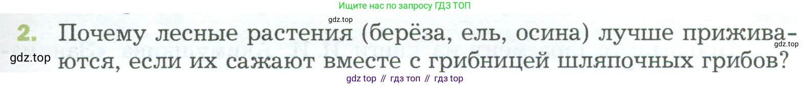 ГДЗ Биология, 5 класс Учебник, авторы: Пономарева Ирма Николаевна, Николаев Игорь Владиславович, Корнилова Ольга Анатольевна, издательство Просвещение, Москва, 2023, зелёного цвета, страница 91, номер 2, Условие