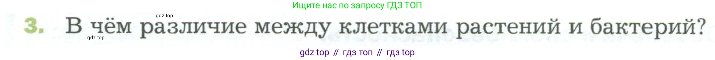 ГДЗ Биология, 5 класс Учебник, авторы: Пономарева Ирма Николаевна, Николаев Игорь Владиславович, Корнилова Ольга Анатольевна, издательство Просвещение, Москва, 2023, зелёного цвета, страница 90, номер 3, Условие