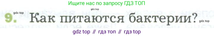 ГДЗ Биология, 5 класс Учебник, авторы: Пономарева Ирма Николаевна, Николаев Игорь Владиславович, Корнилова Ольга Анатольевна, издательство Просвещение, Москва, 2023, зелёного цвета, страница 90, номер 9, Условие