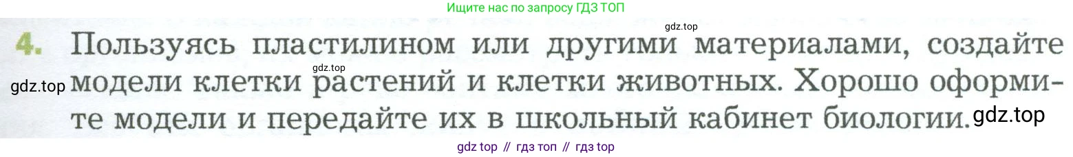 ГДЗ Биология, 5 класс Учебник, авторы: Пономарева Ирма Николаевна, Николаев Игорь Владиславович, Корнилова Ольга Анатольевна, издательство Просвещение, Москва, 2023, зелёного цвета, страница 91, номер 4, Условие