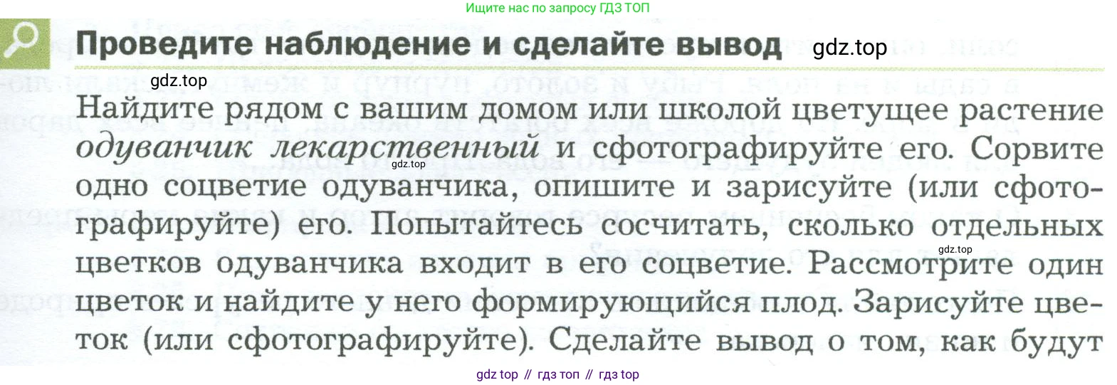 ГДЗ Биология, 5 класс Учебник, авторы: Пономарева Ирма Николаевна, Николаев Игорь Владиславович, Корнилова Ольга Анатольевна, издательство Просвещение, Москва, 2023, зелёного цвета, страница 157, Условие